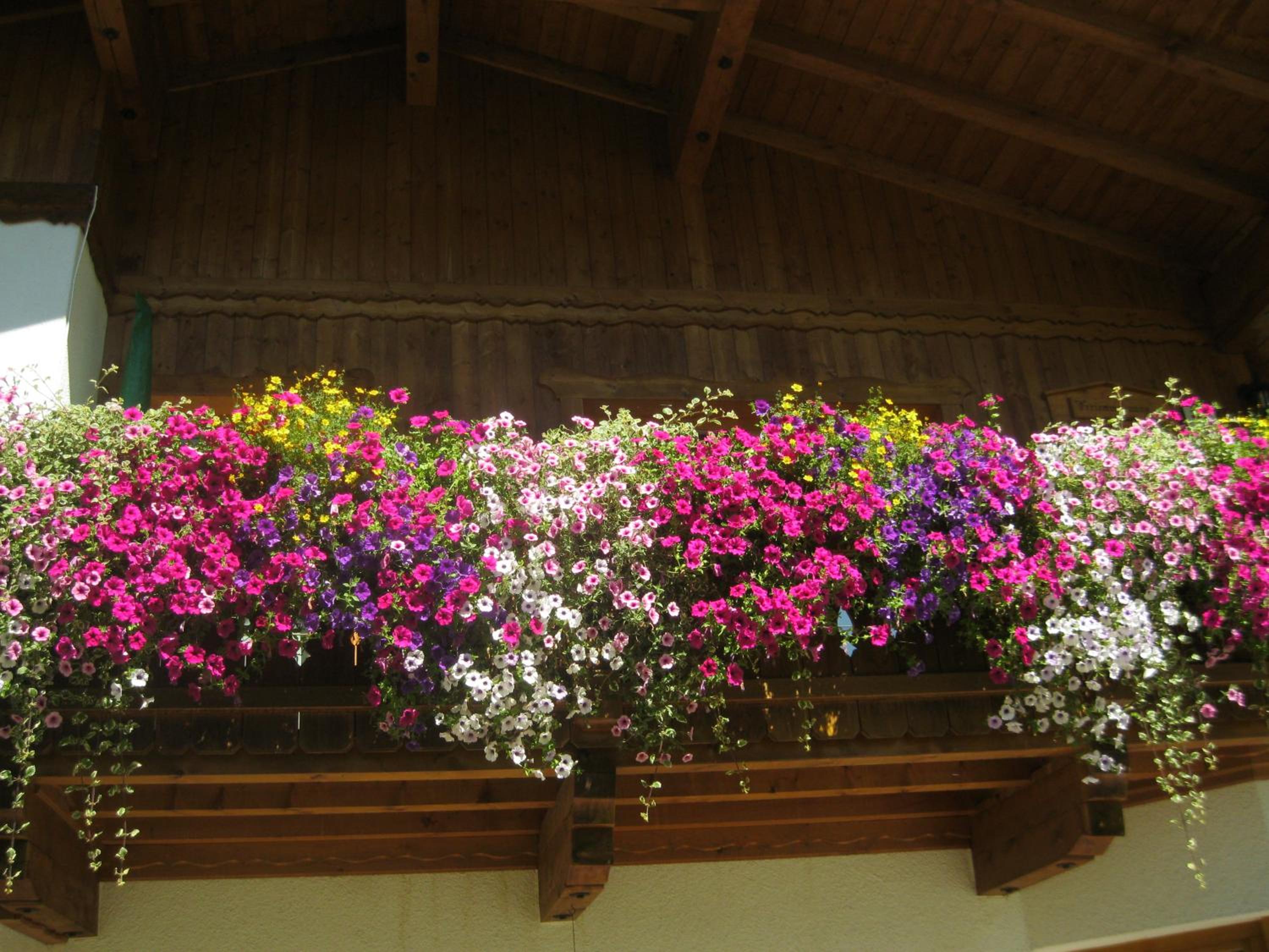Haus Reiterer