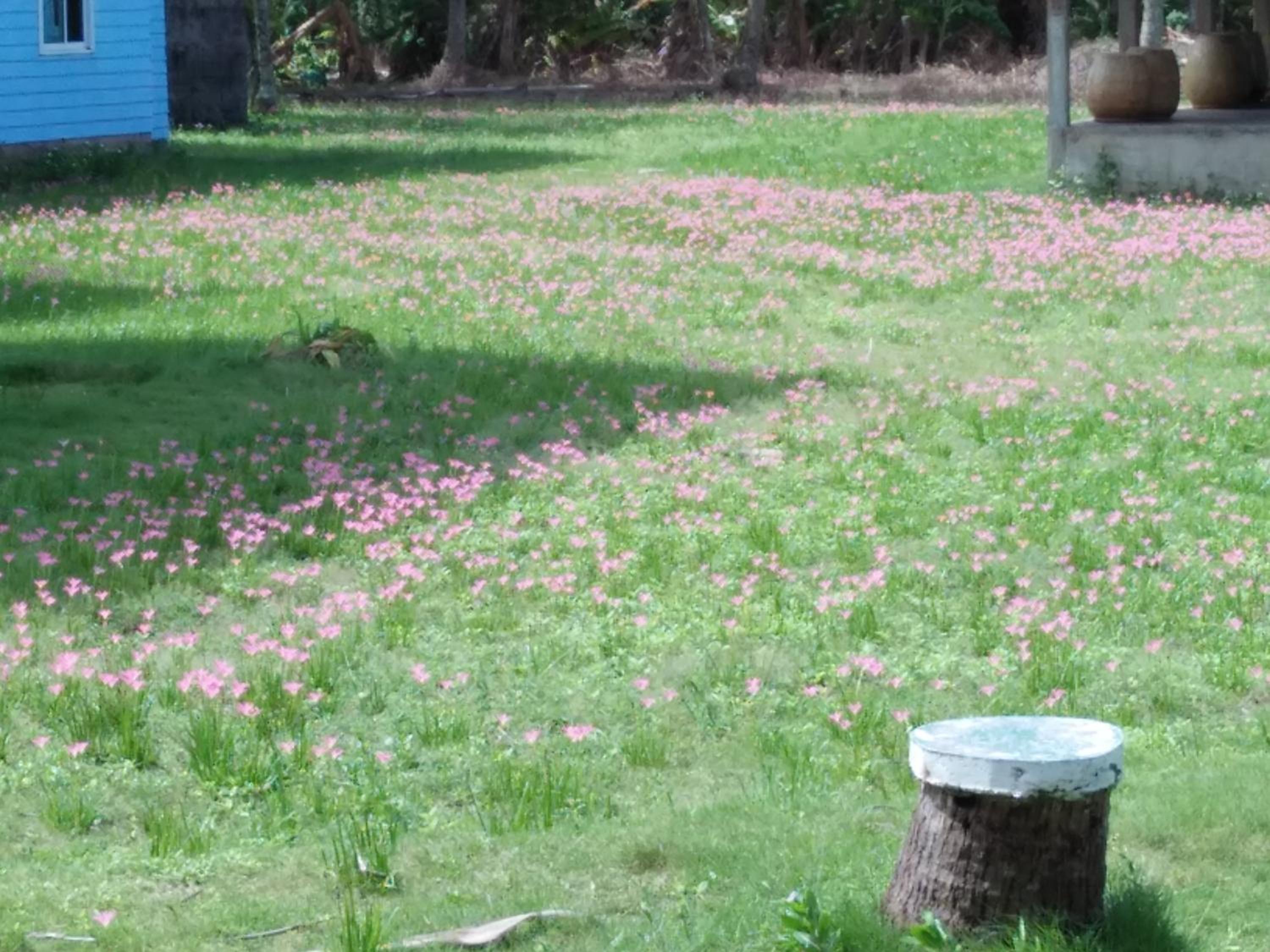 Happy Days Resort