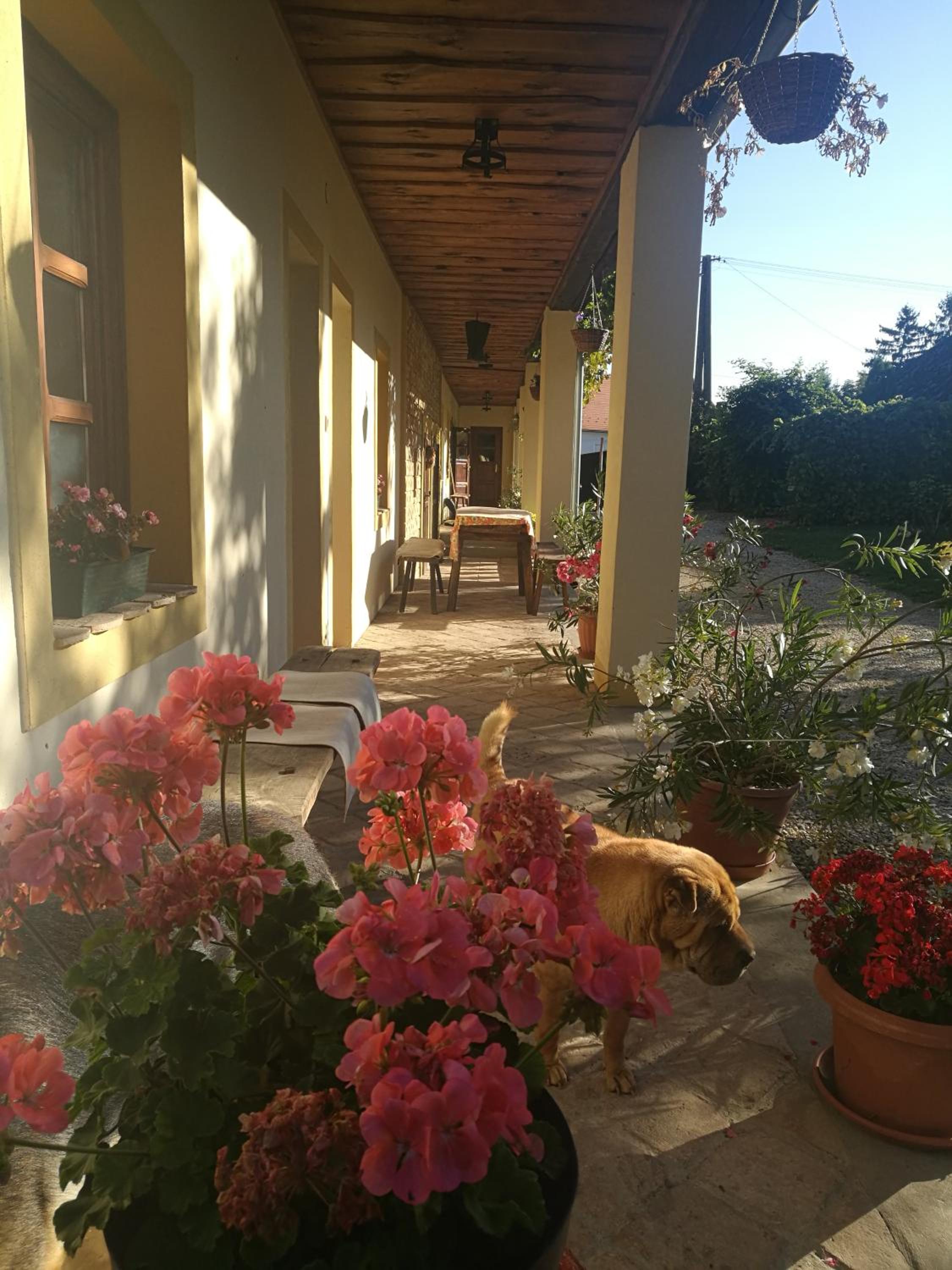 Photo 16