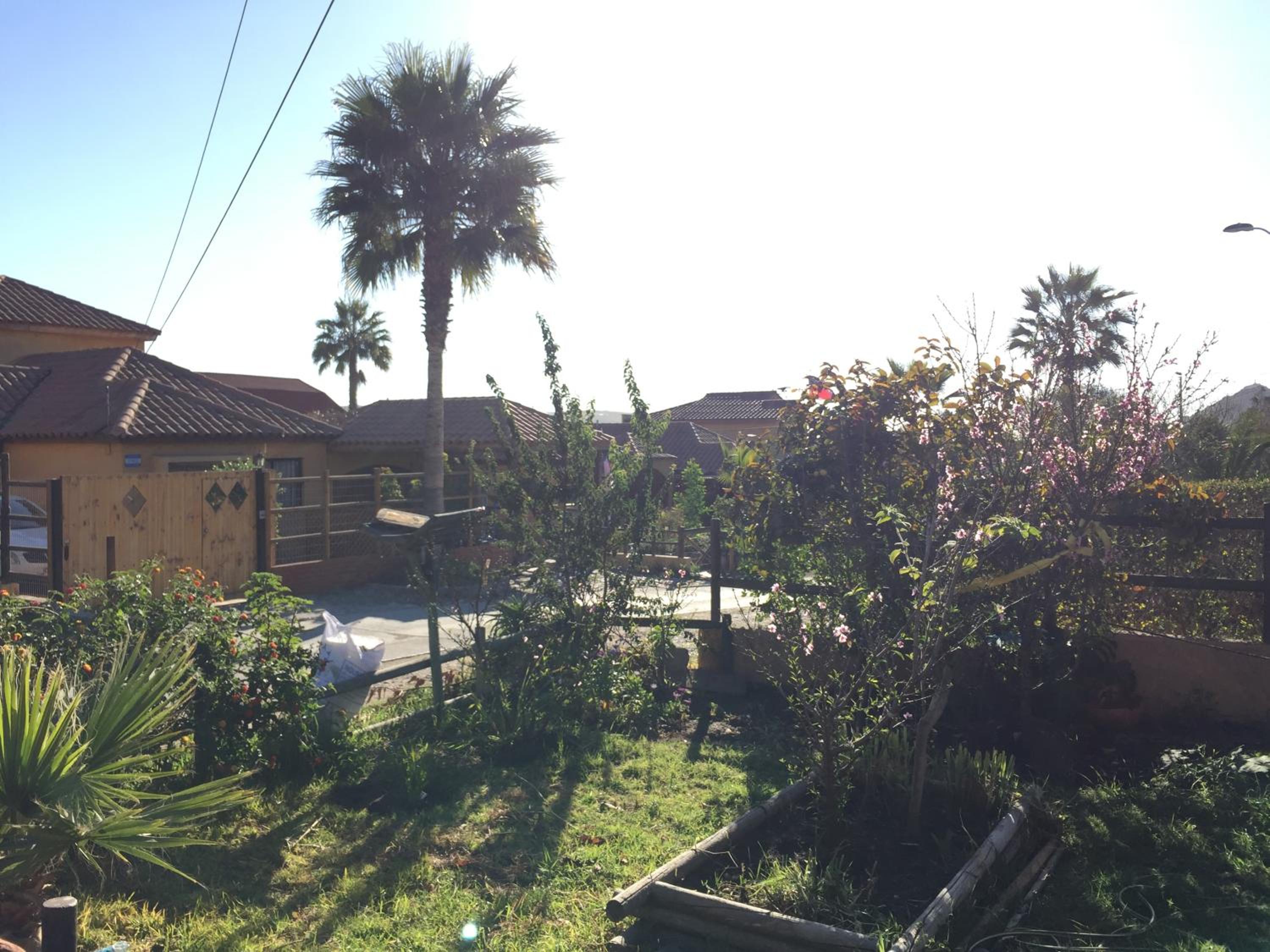 Photo 25