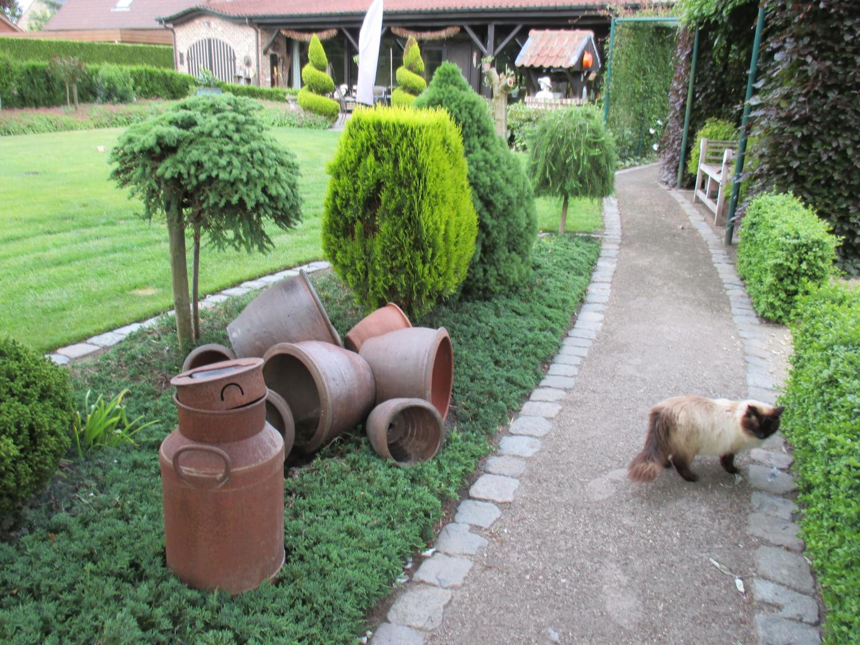 Photo 20