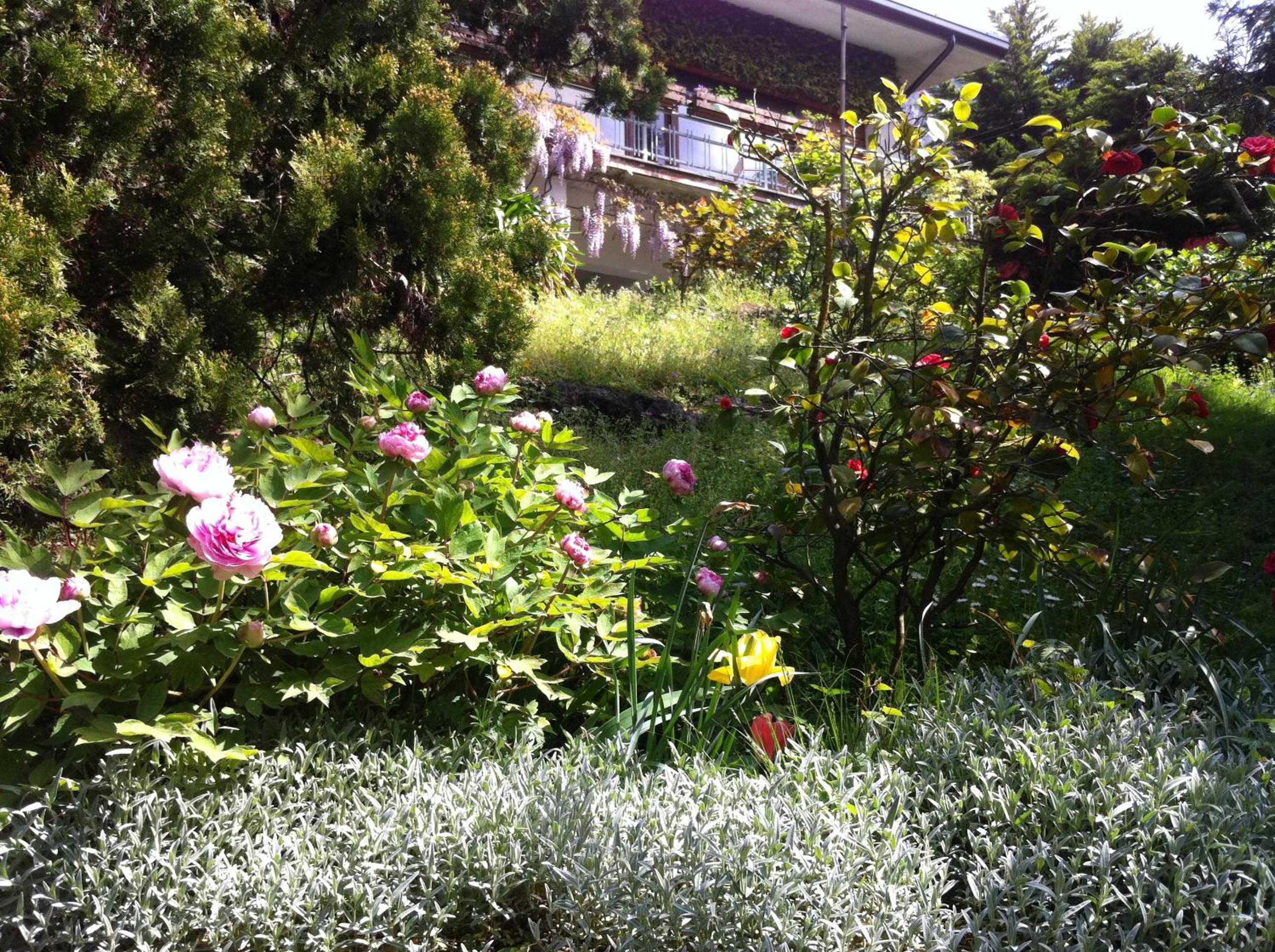Photo 15