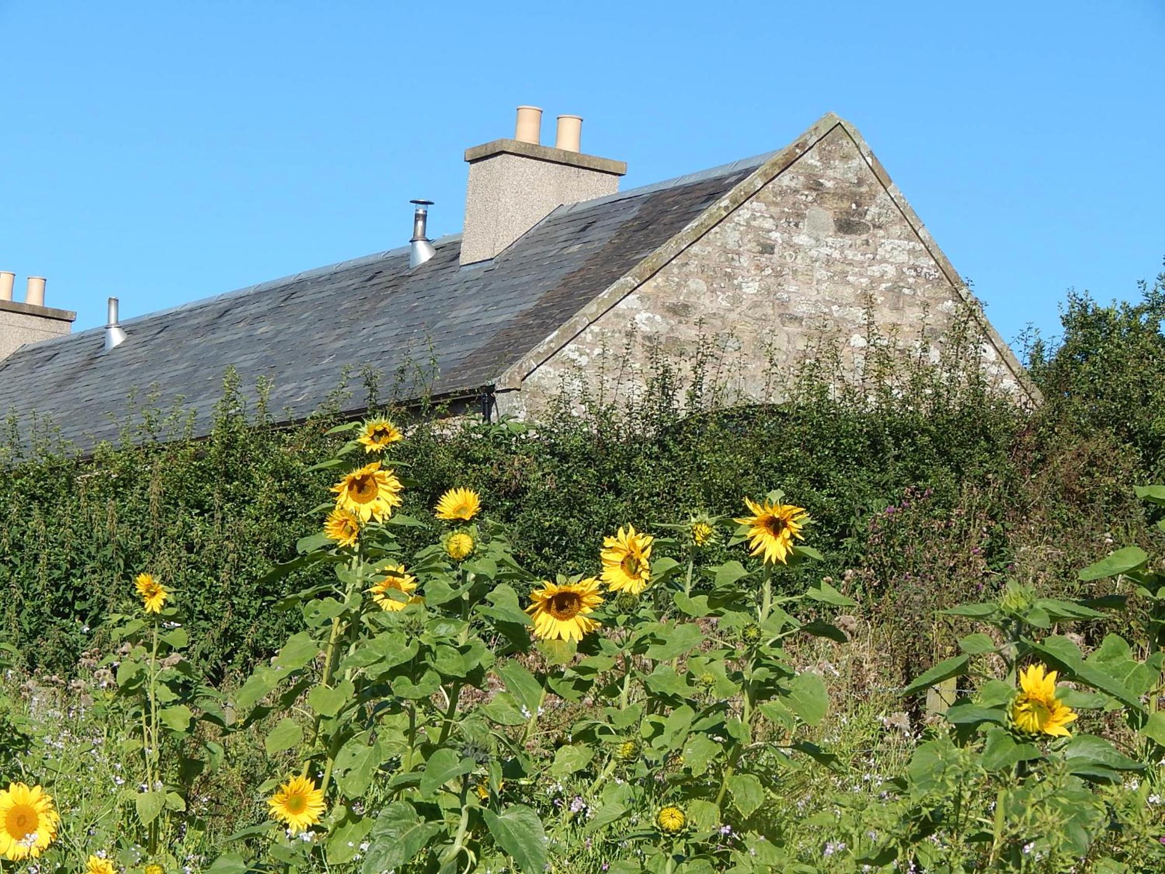 Garden Bank Cottage