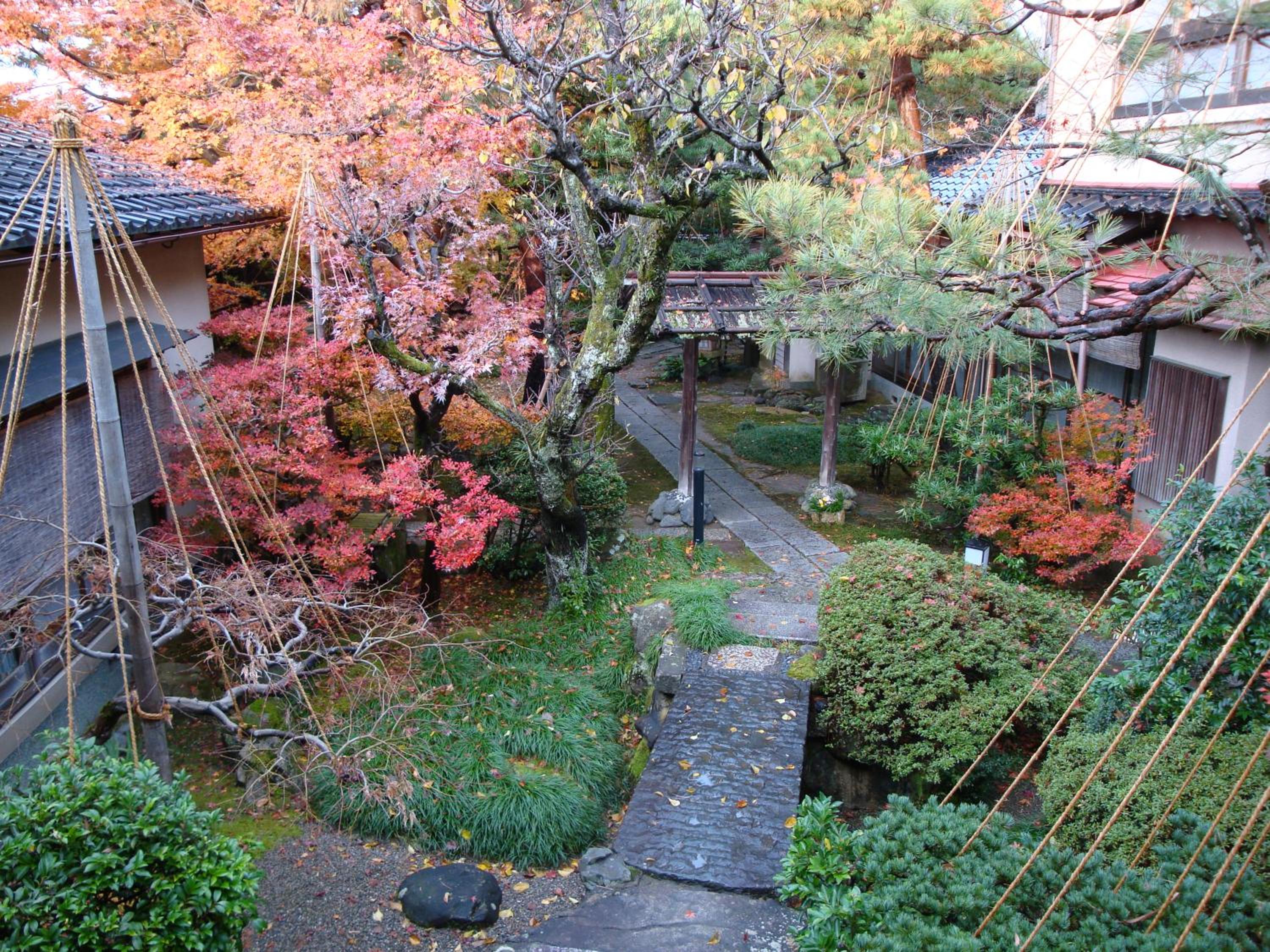 Yamanoo view 2