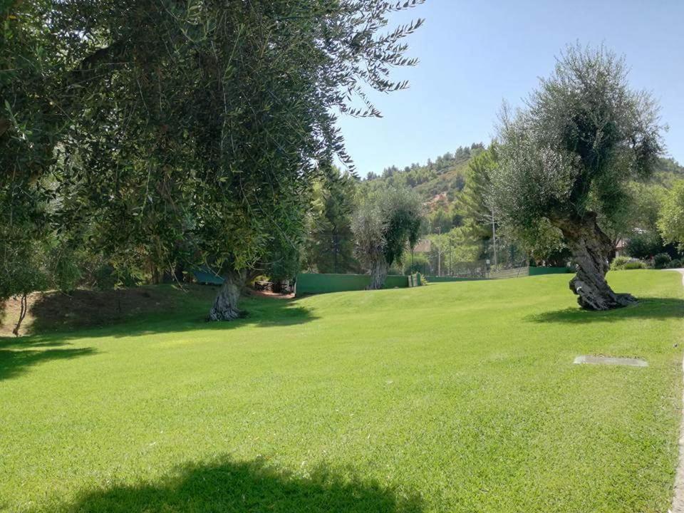 Photo 36