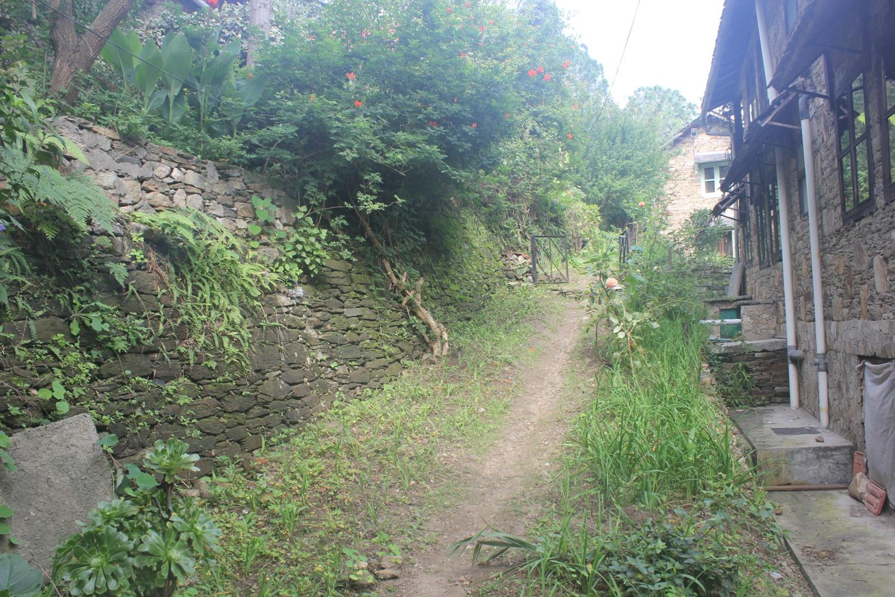 Photo 49