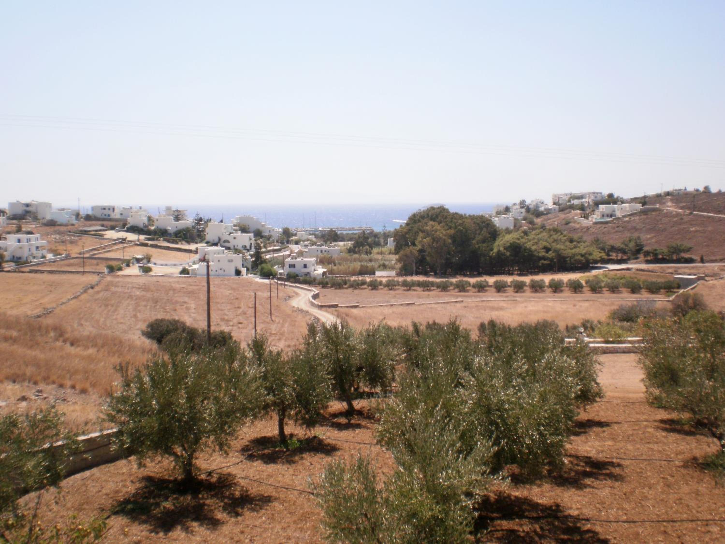 Photo 29