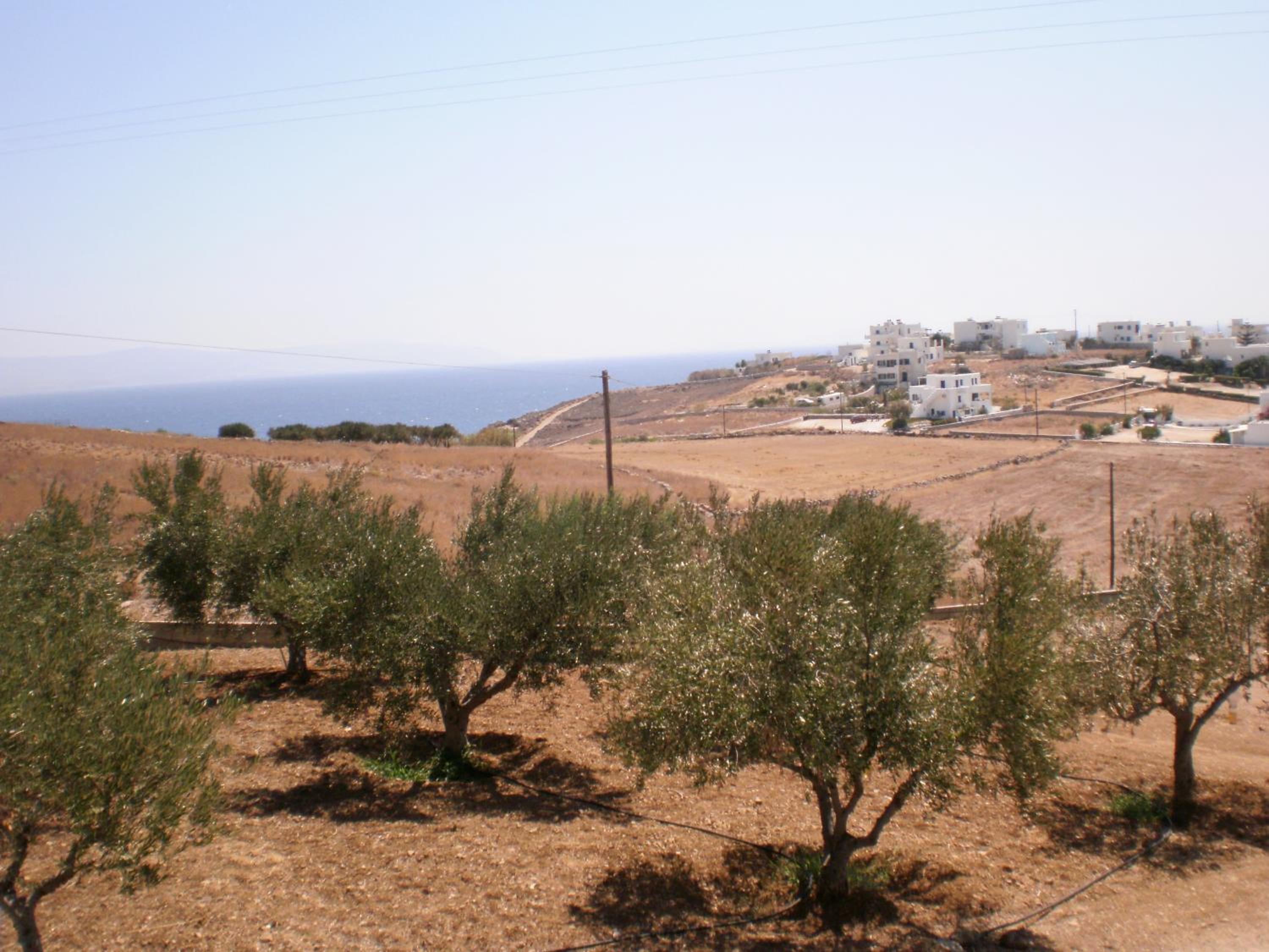 Photo 40