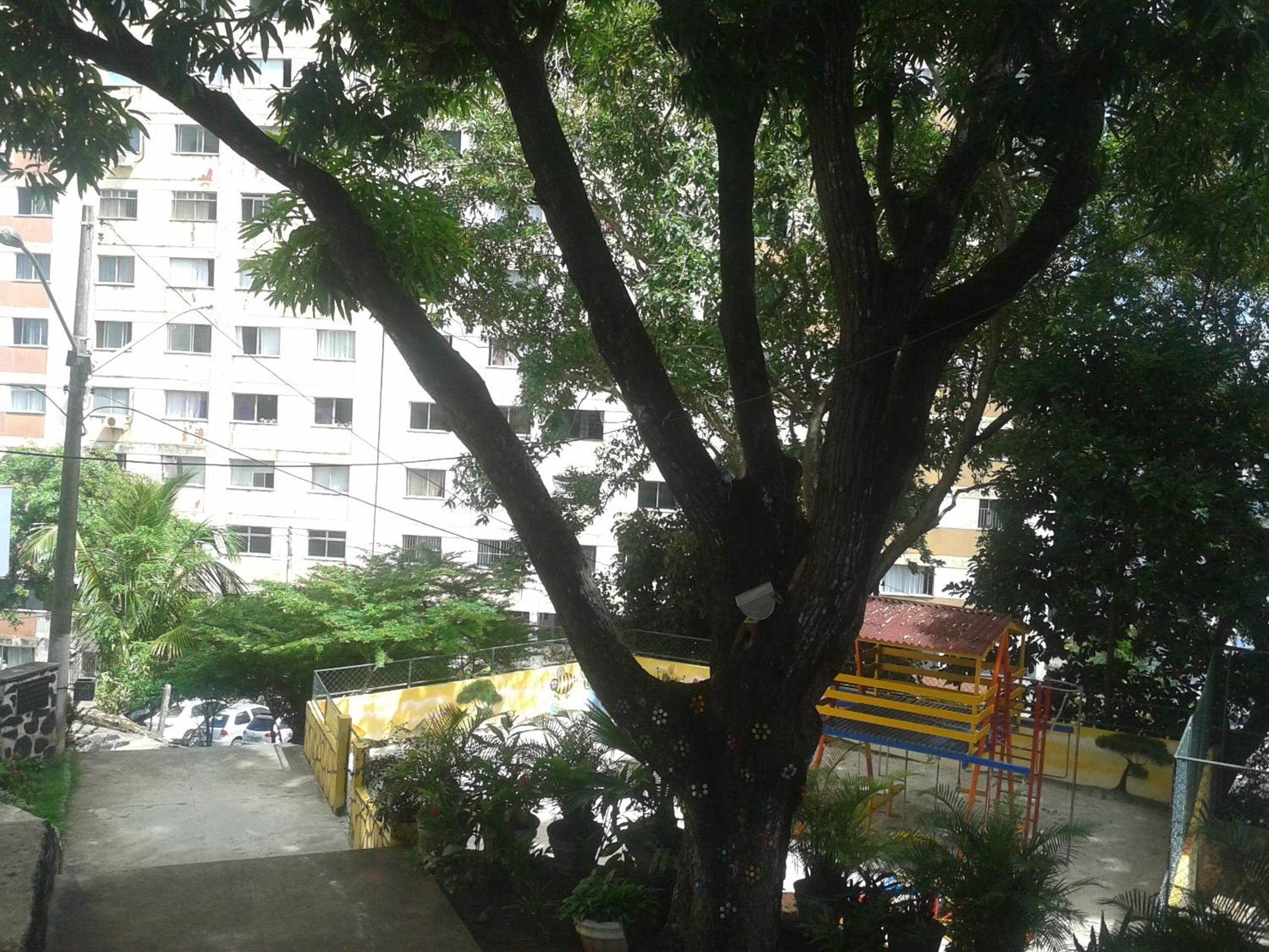 Photo 13