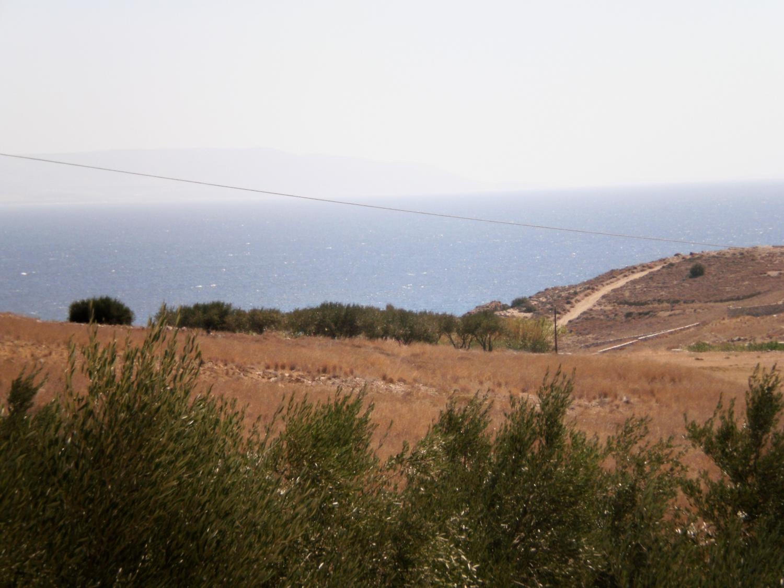 Photo 43