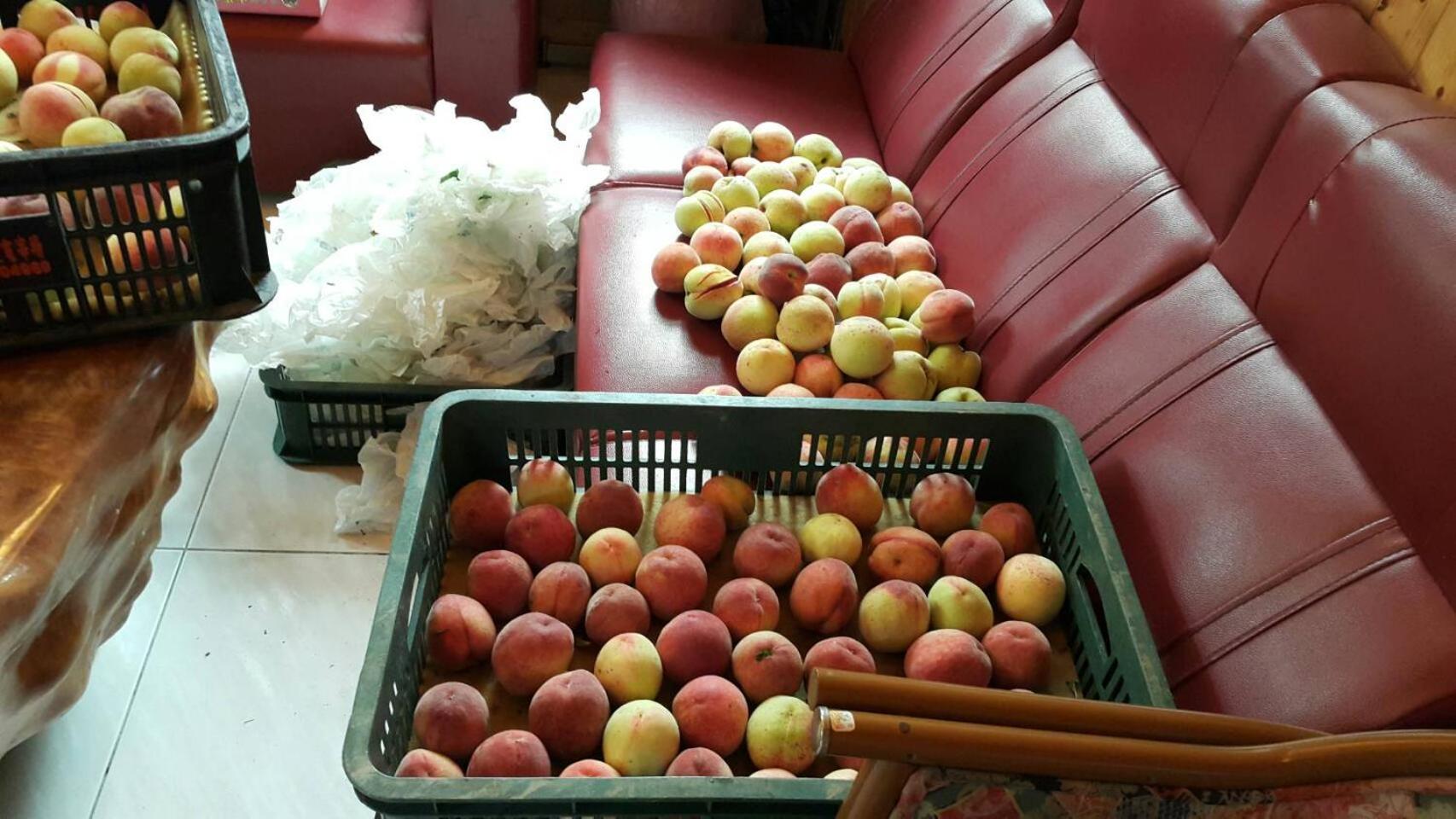 Photo 20