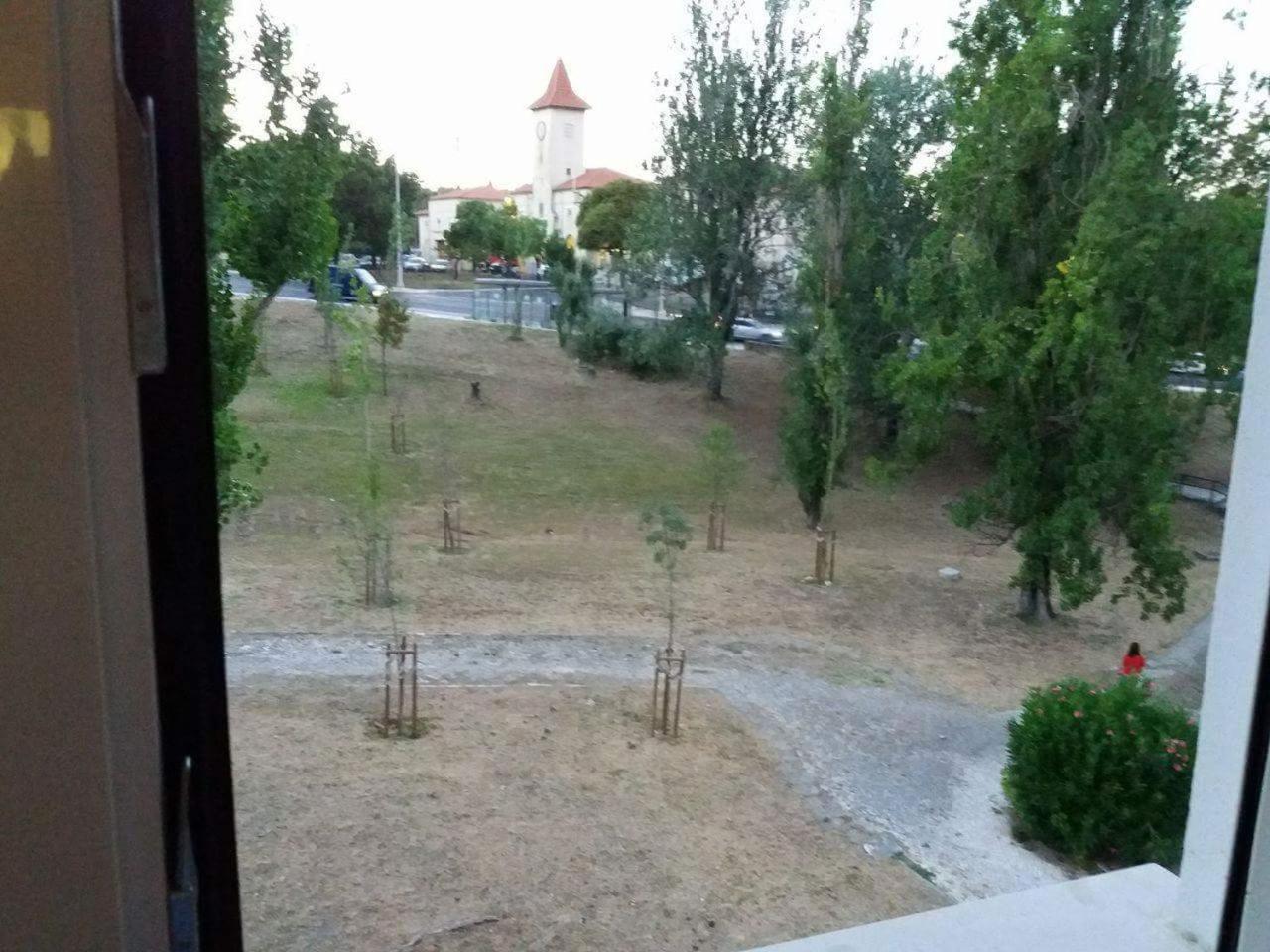 Photo 32