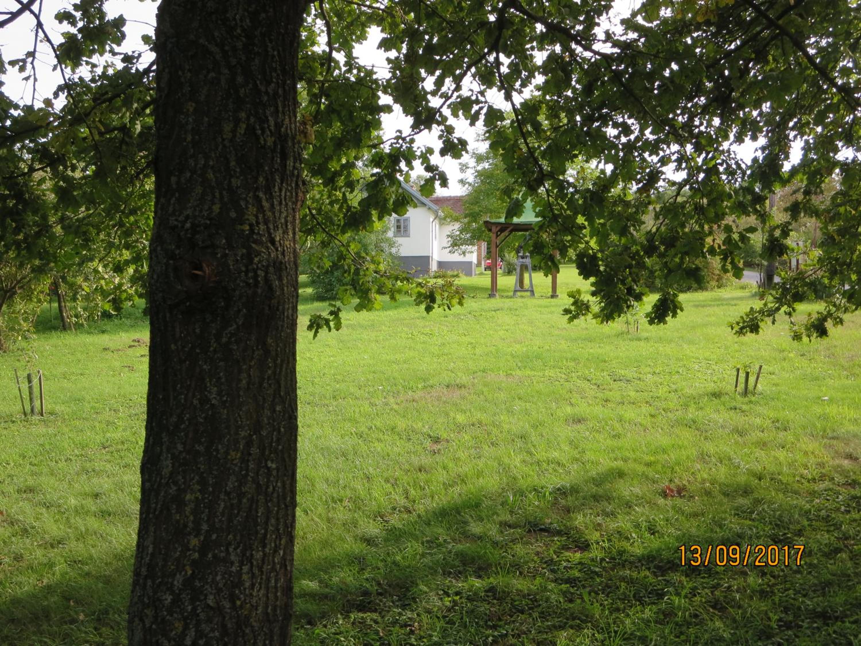 Photo 33