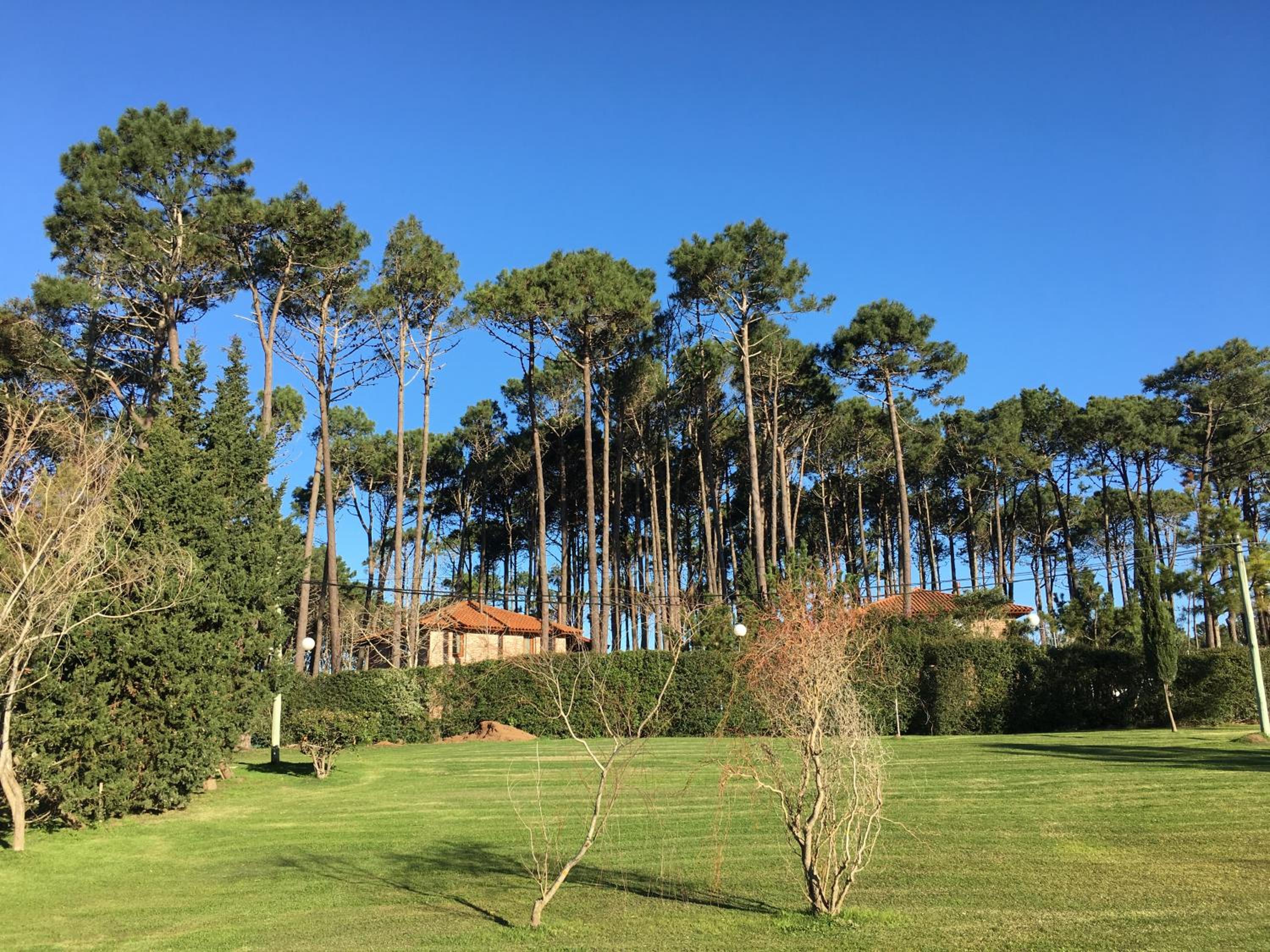 Bebek B&B view 5