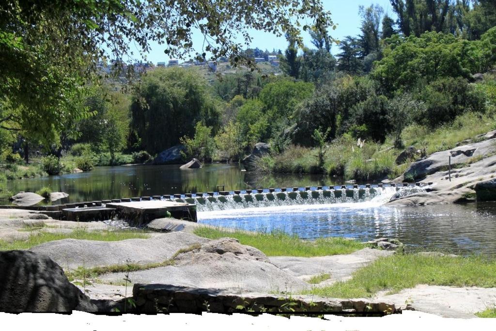 Cabañas Layken