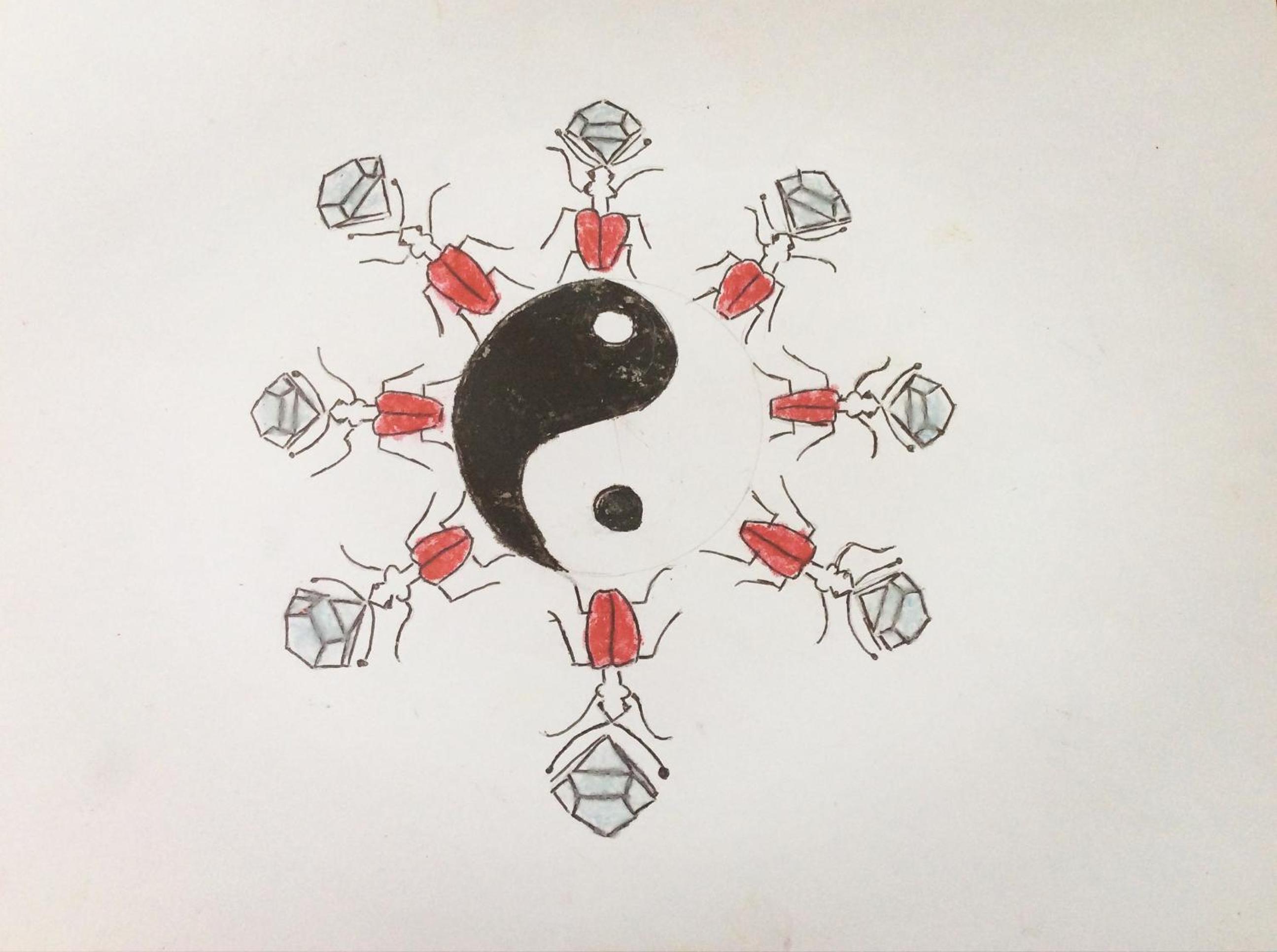 Escarabajo Rojo