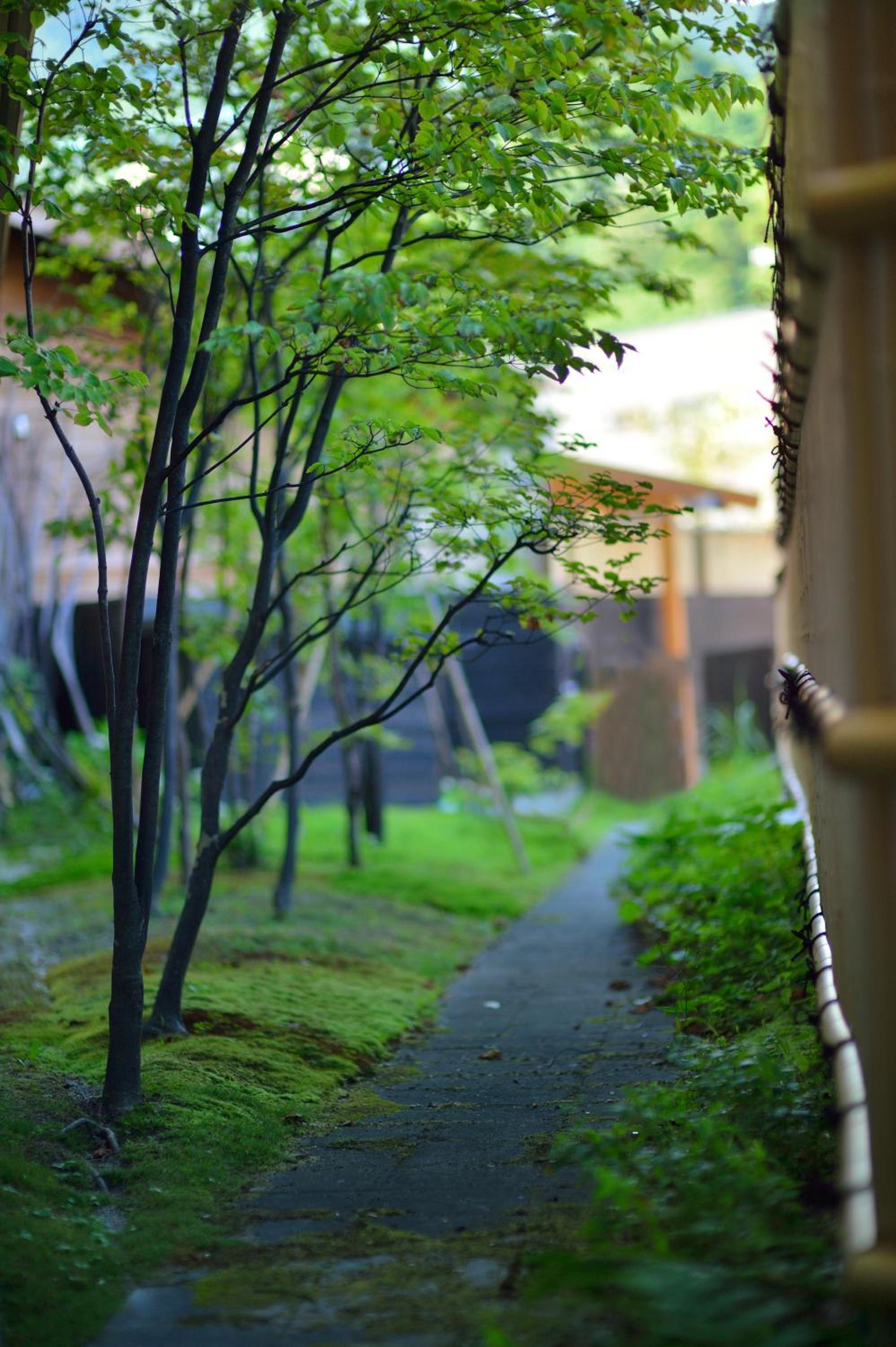 Wakamatsuya