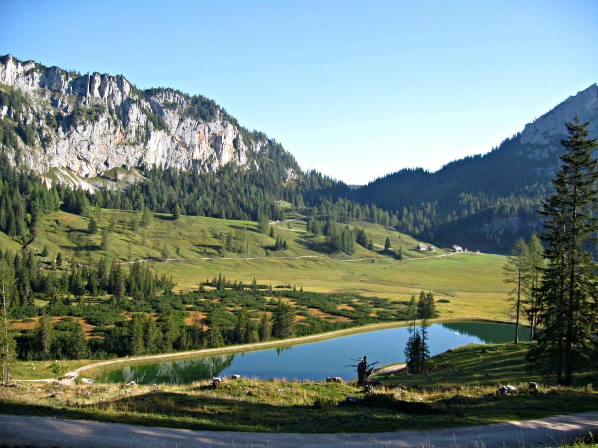 Ferienhaus Mountain View