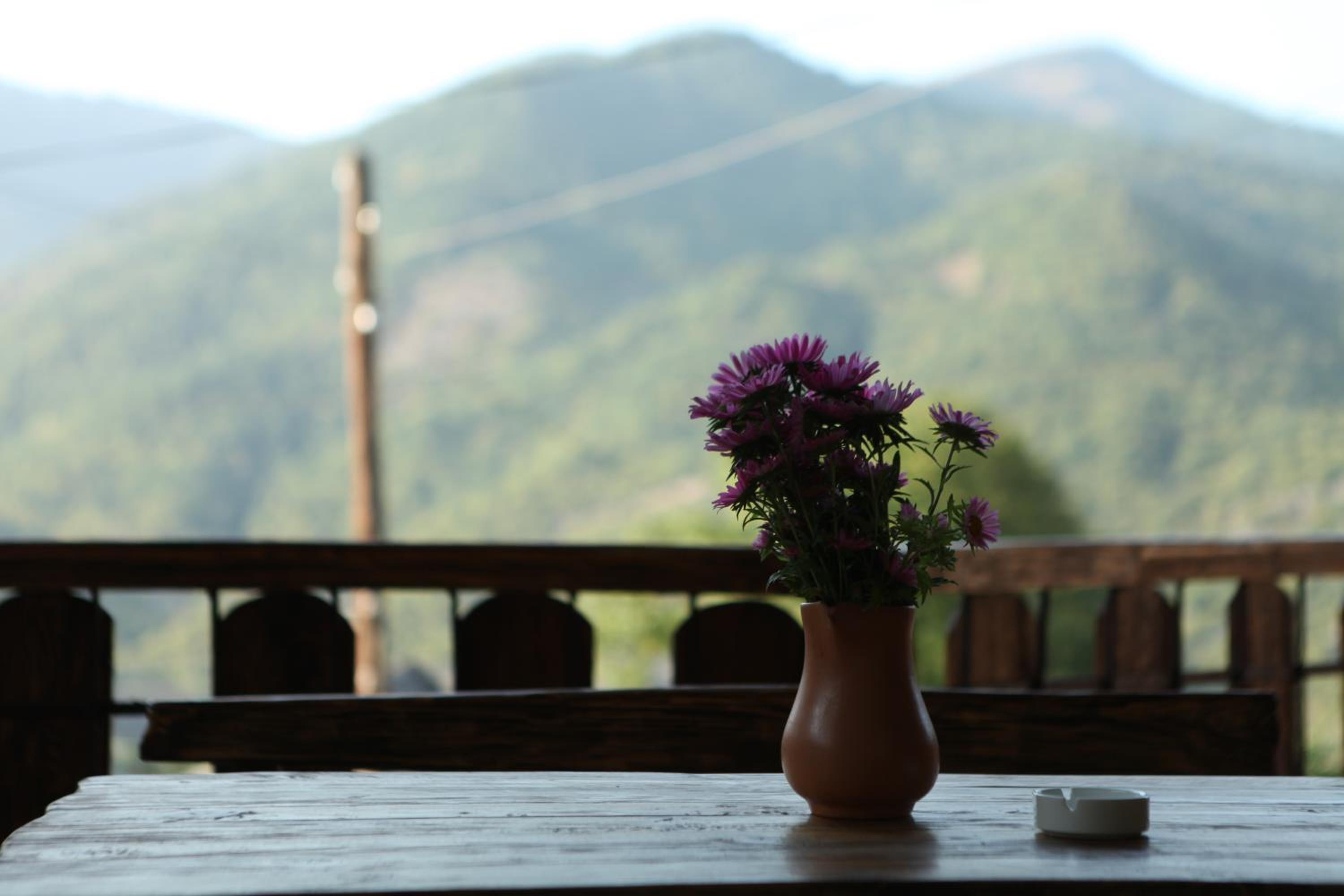 Guest house Dilijan Orran