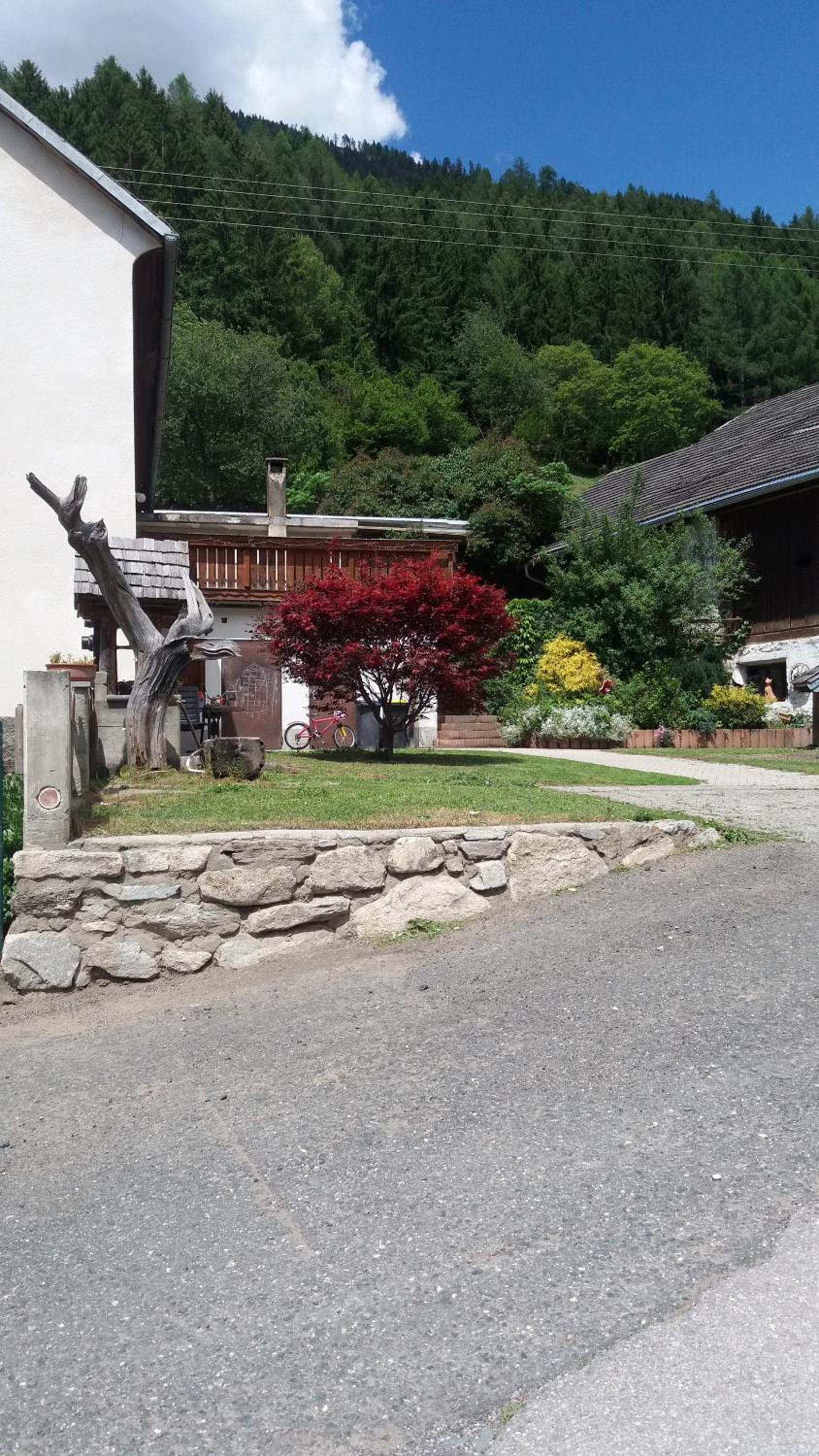 Ferienwohnung am Bauernhof Zechner Heidi view 3