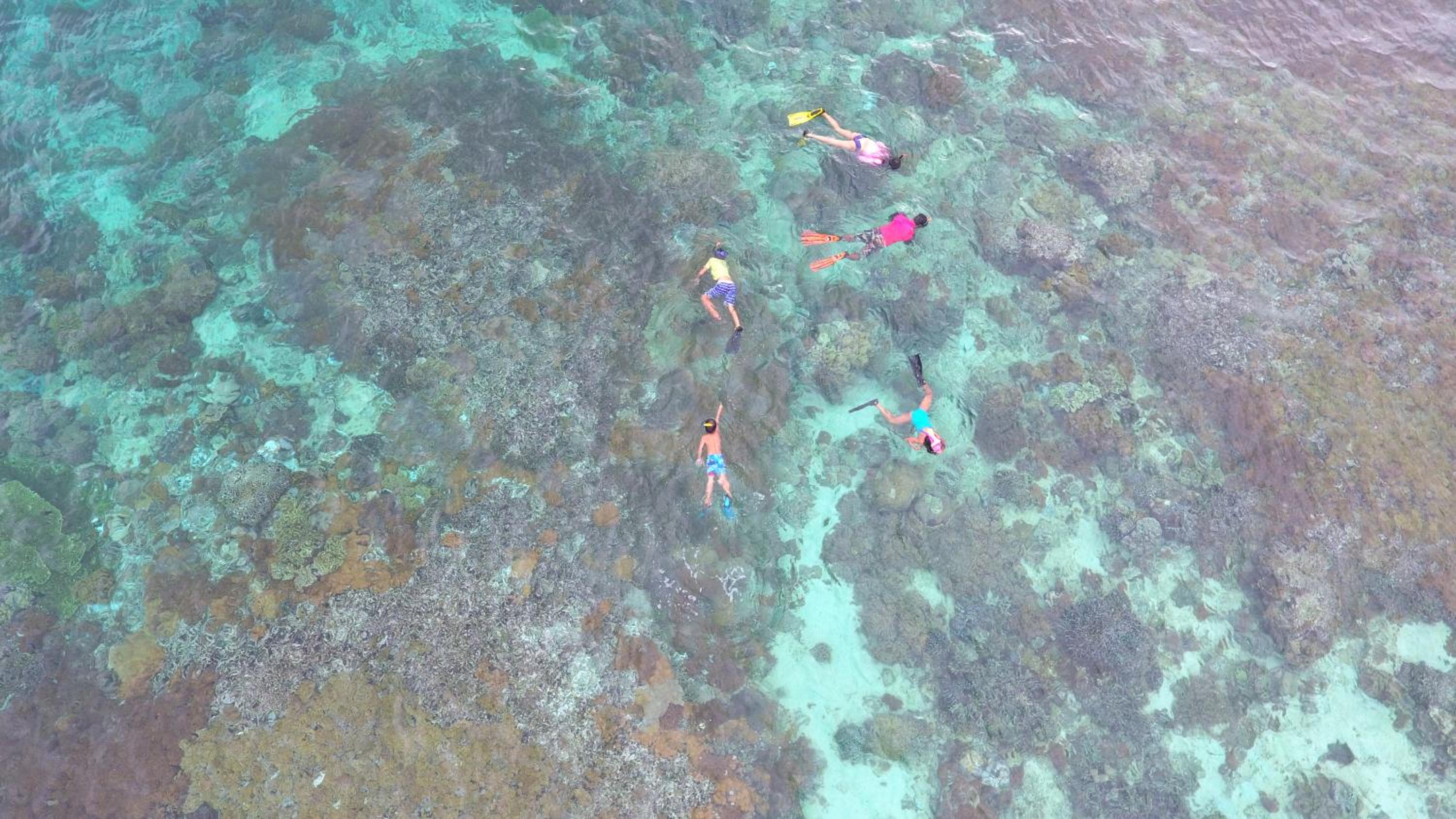 Murex Bangka Dive Resort