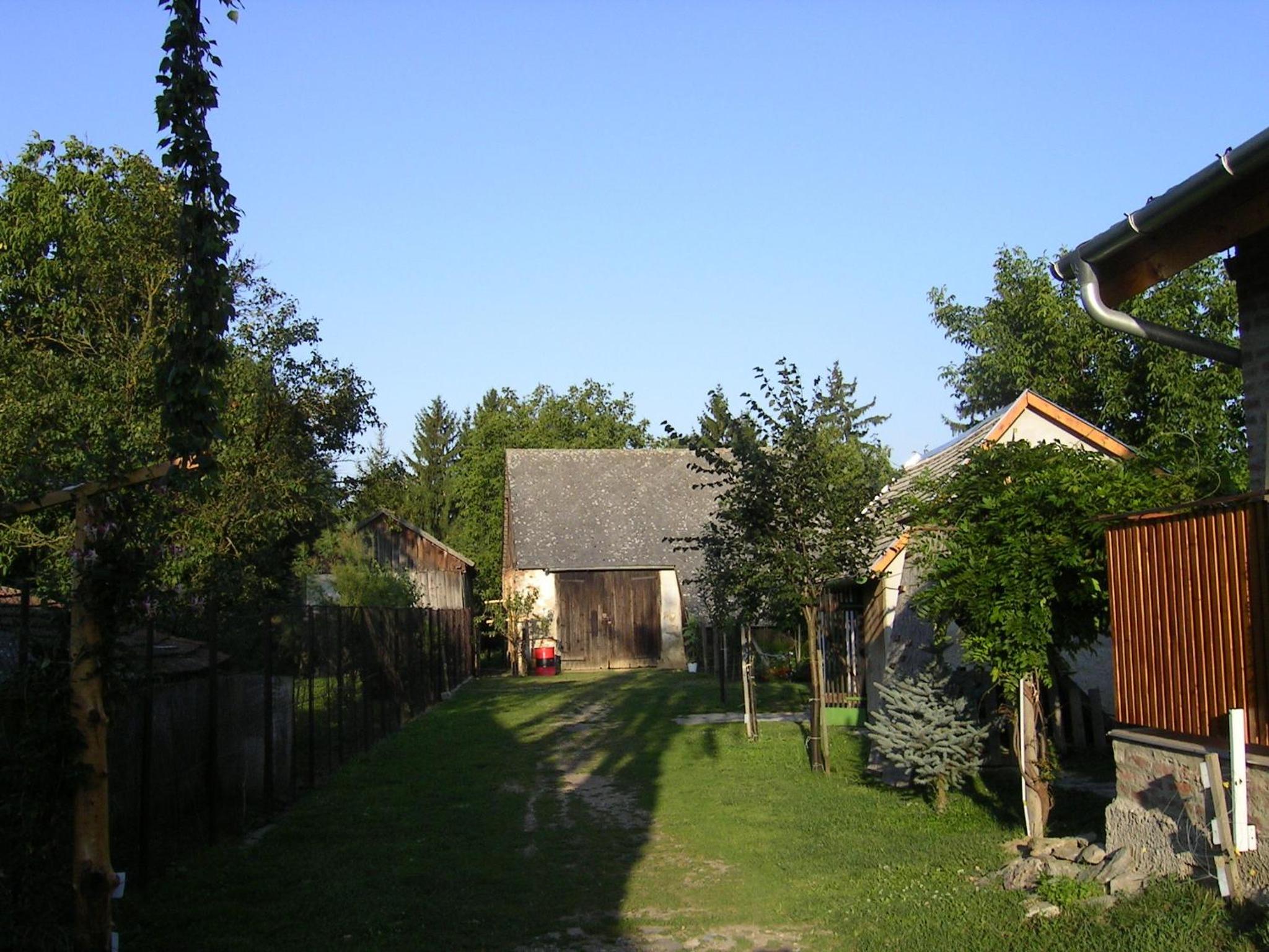 Photo 12