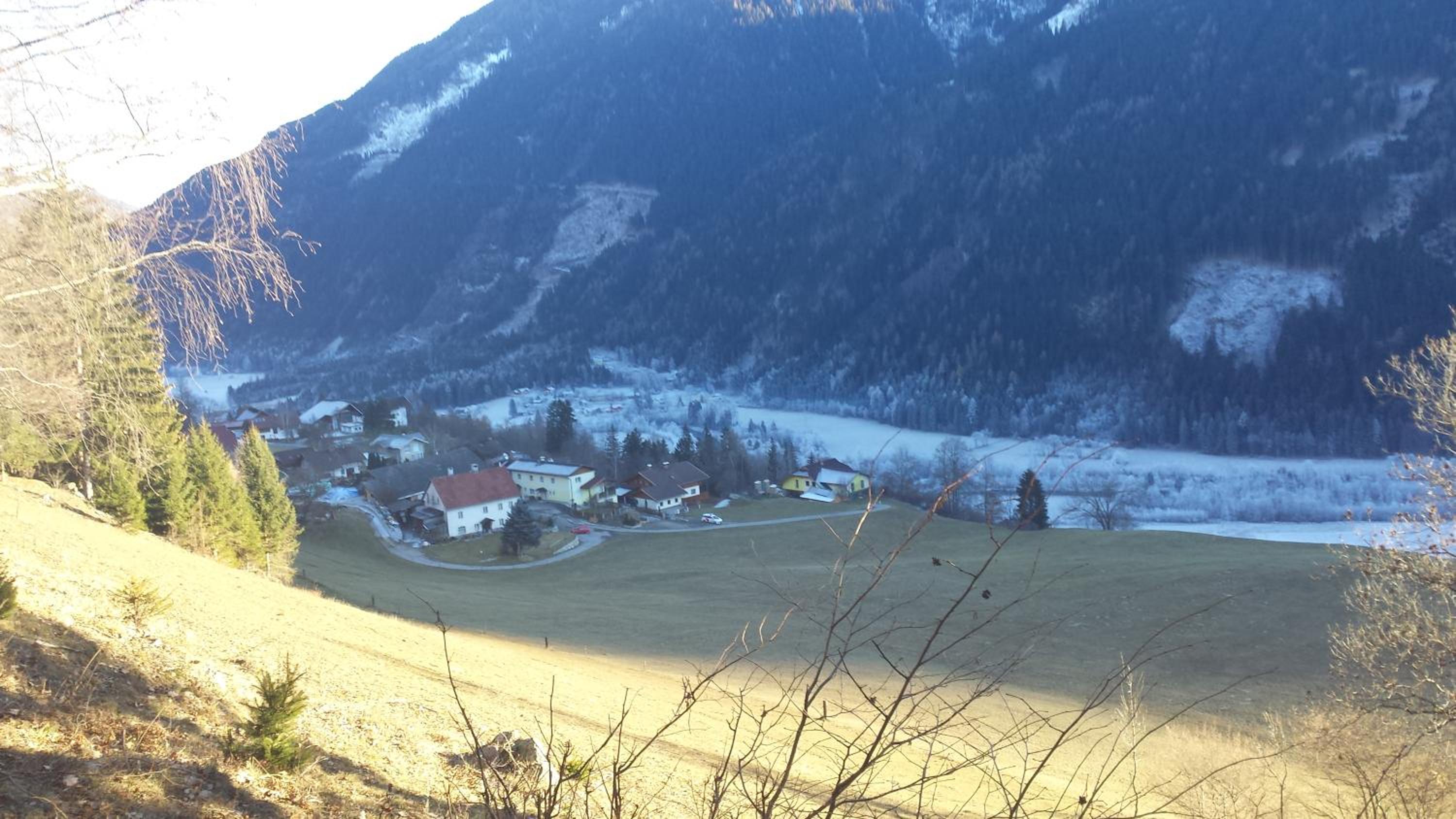 Photo 15