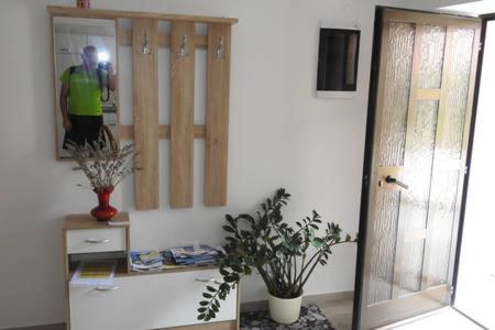 Apartments Padna Goja