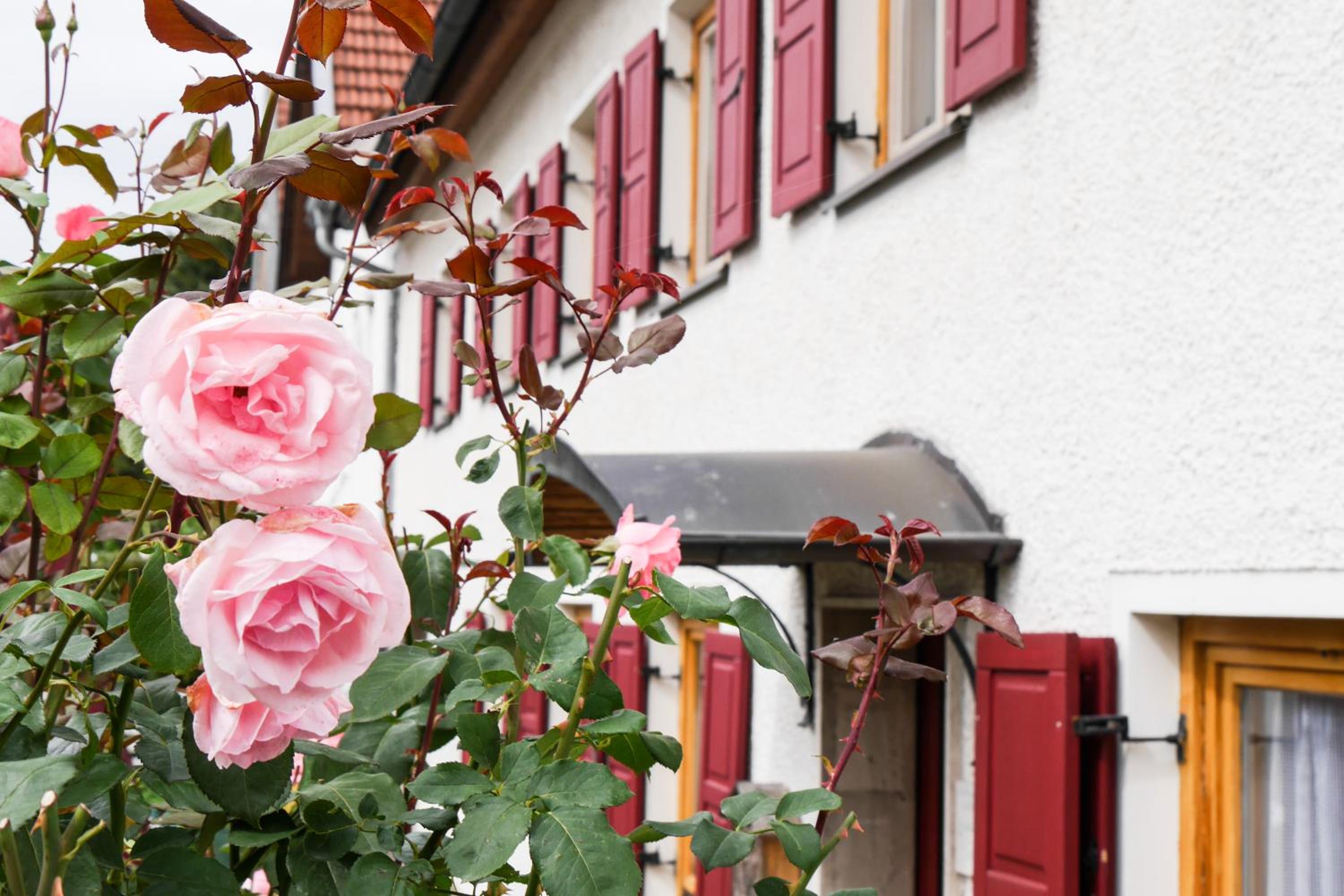 ferienwohnung lispet