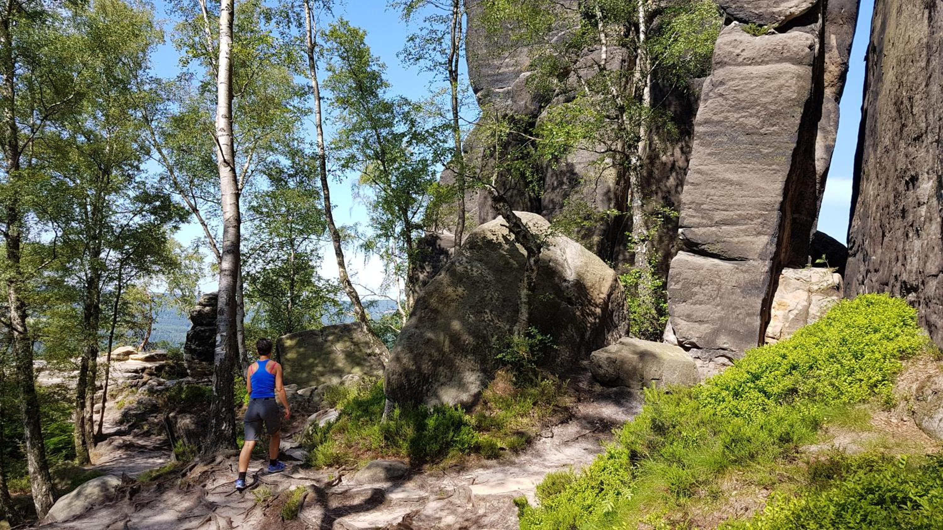 Ferienhaus Winterbergblick, Nationalpark Sächsische Schweiz, 5 Wohnungen und Gemeinschaftsraum, Boulderraum und Sauna im Haus