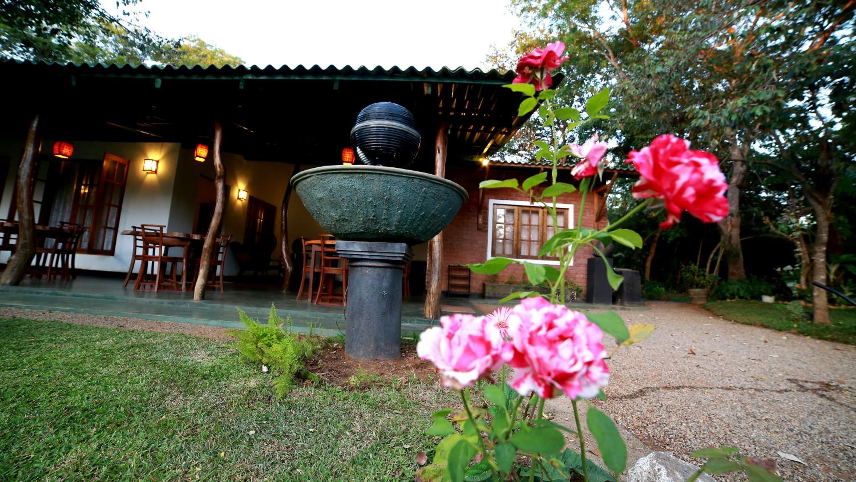 Indi Rose Garden
