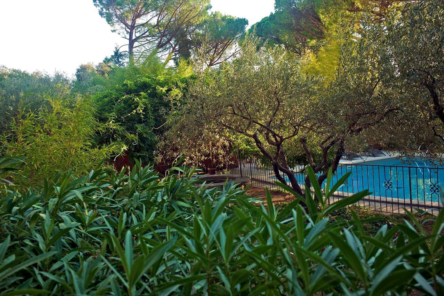 La Bastide des Pins