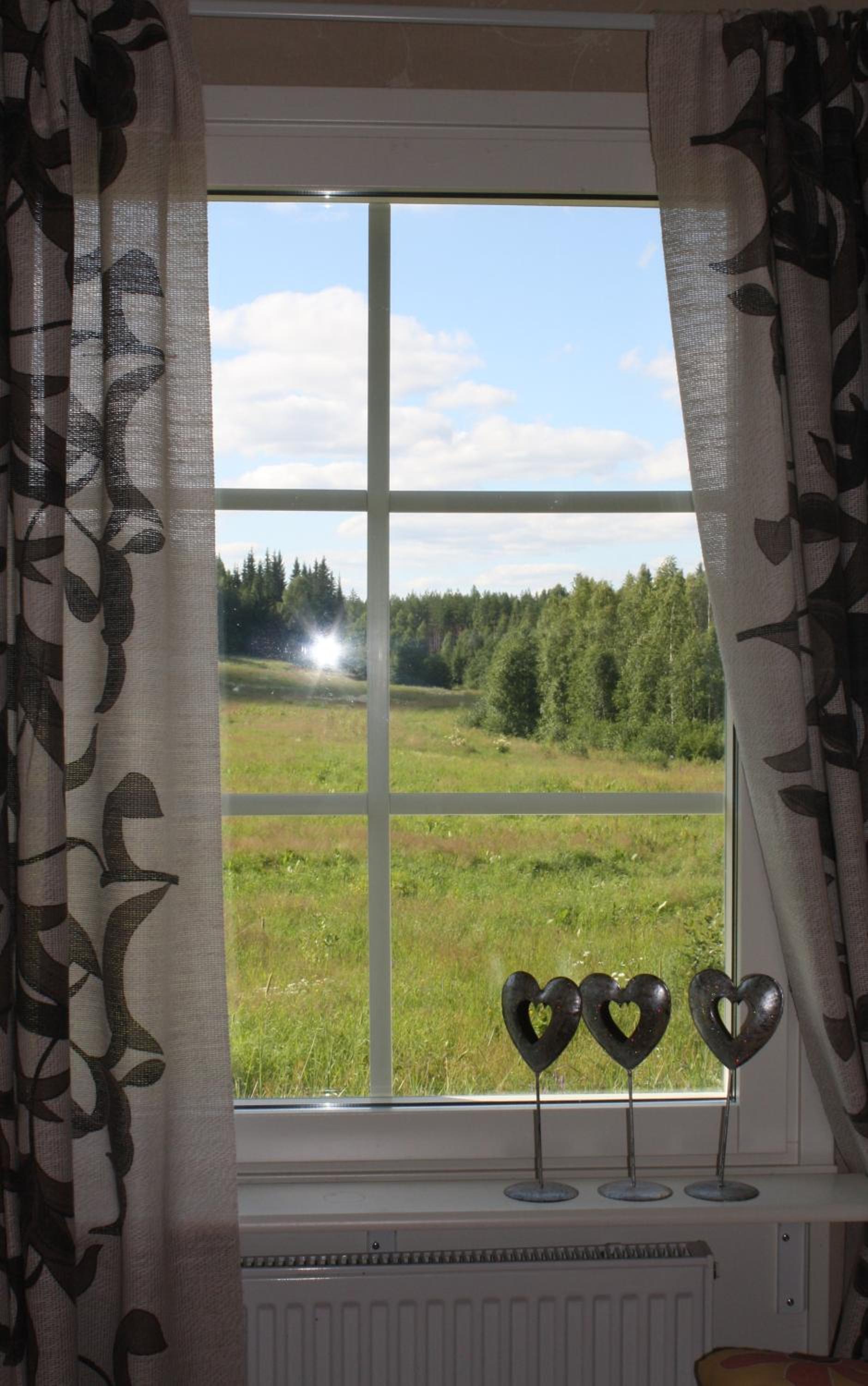 Surkeenjärven Jaakon talot