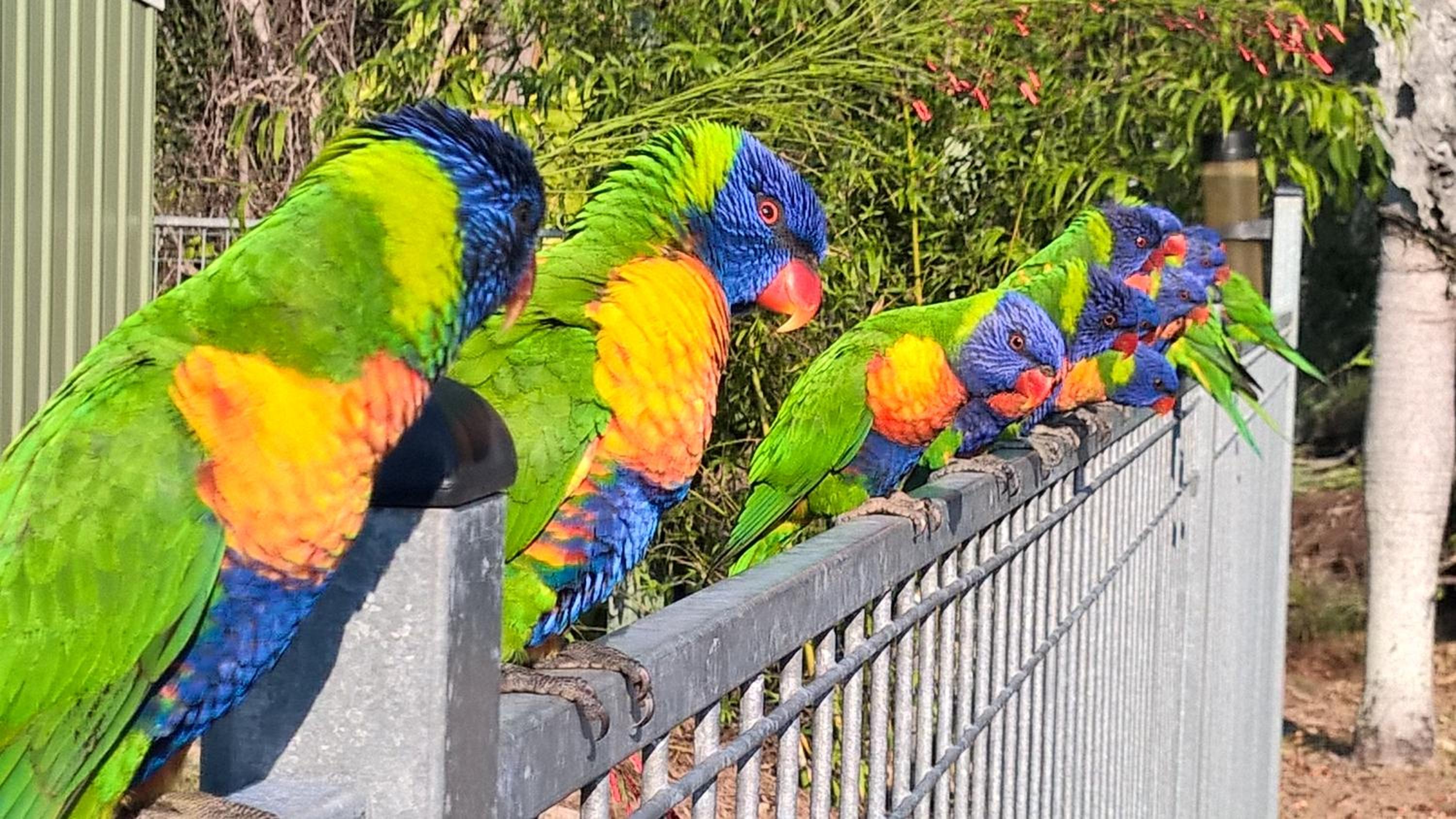 Magnetic Island Bed and Breakfast