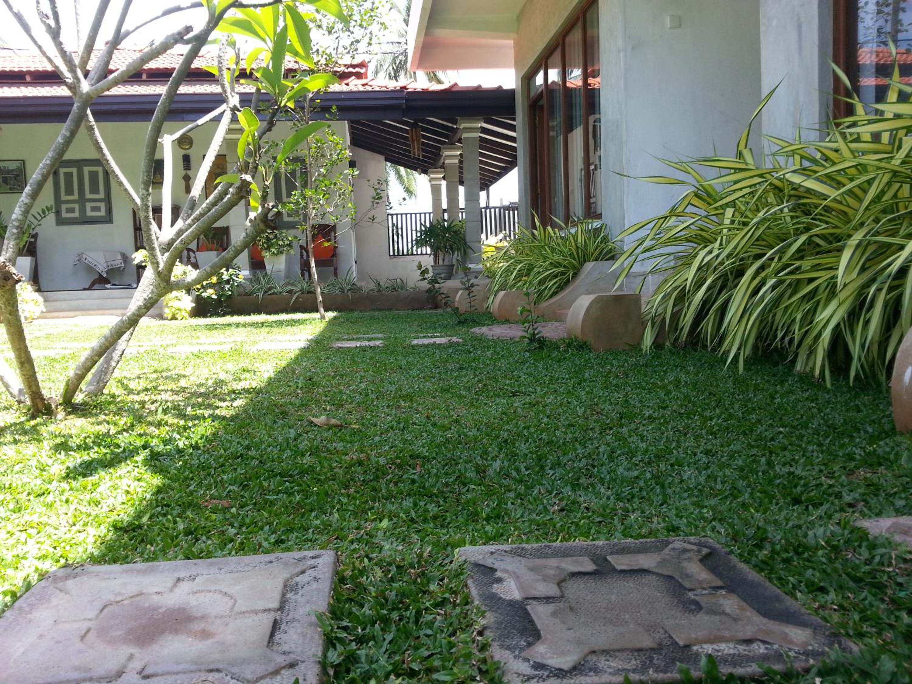 Photo 41