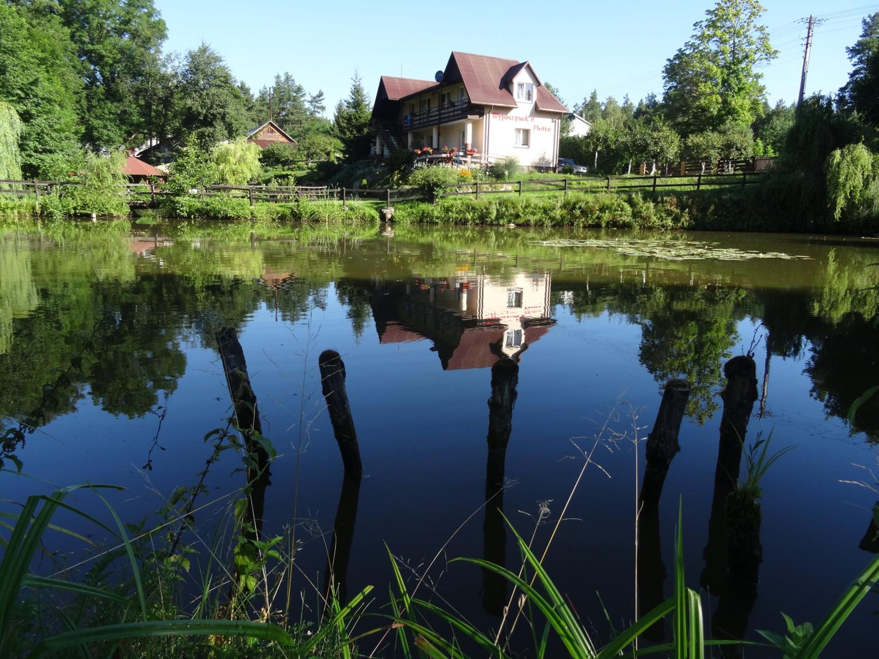 Photo 45
