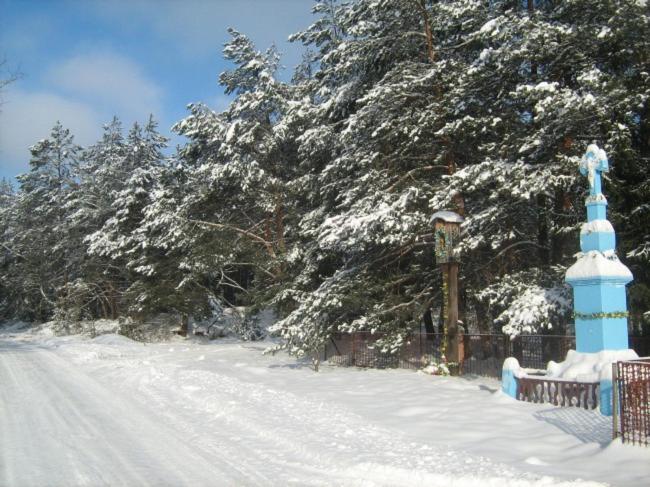 Photo 42