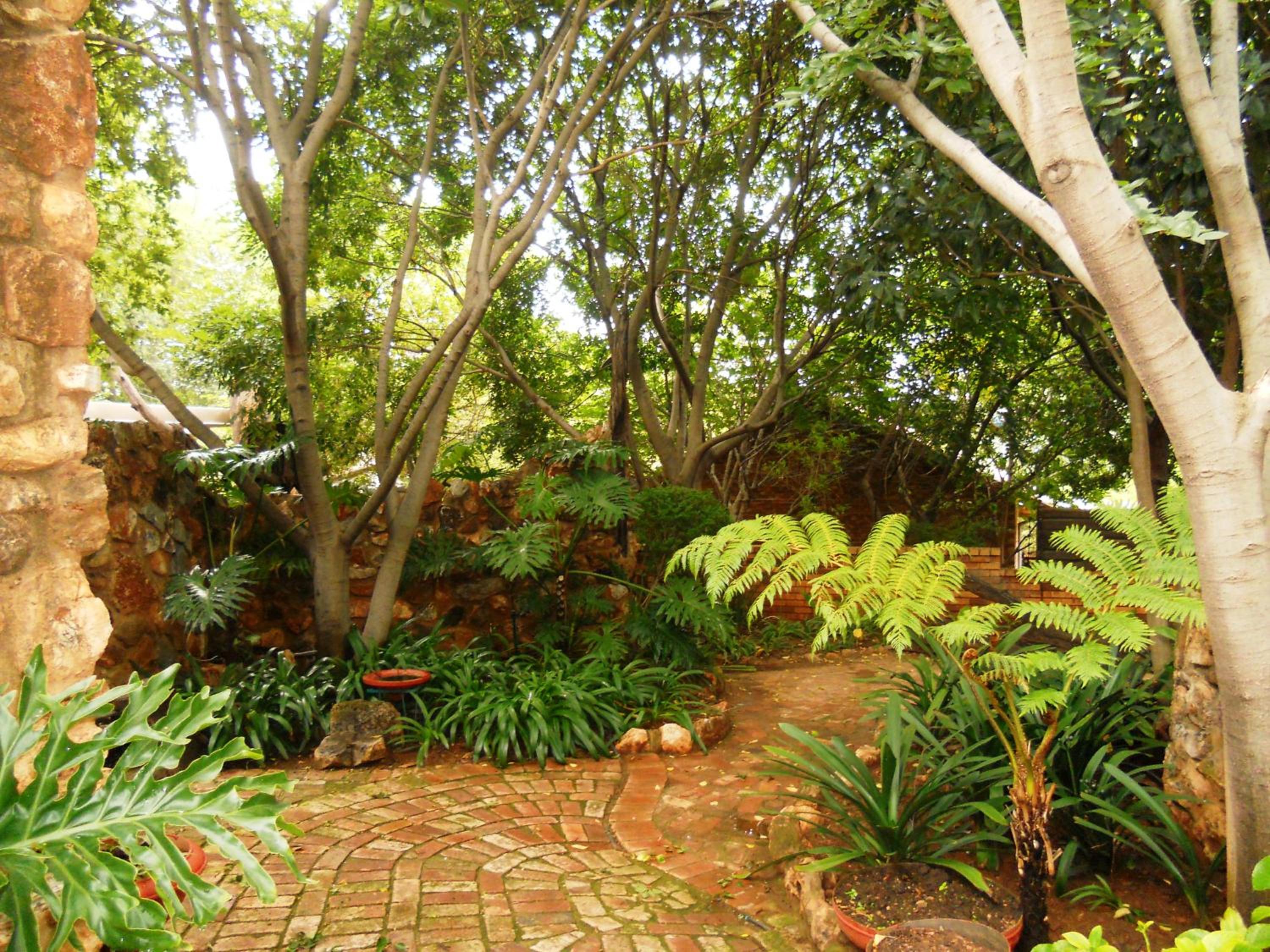 Photo 7