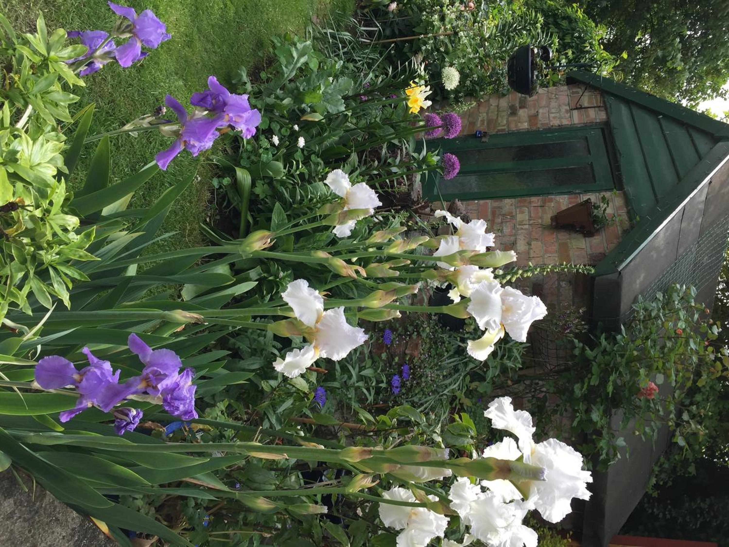 Kings Lynn Vacations - Fairlight Lodge - Property Image 50