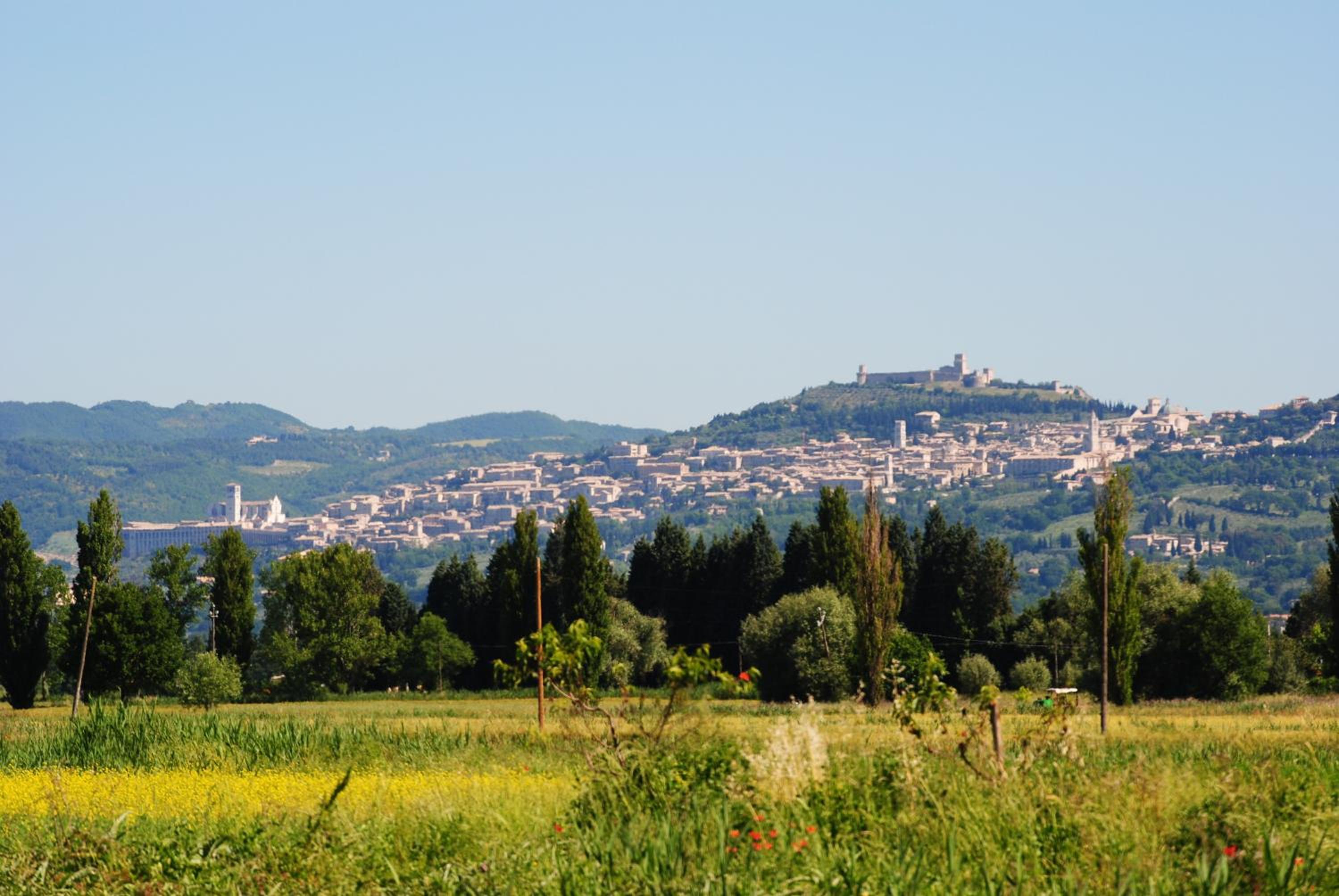 Agriturismo Il Barco