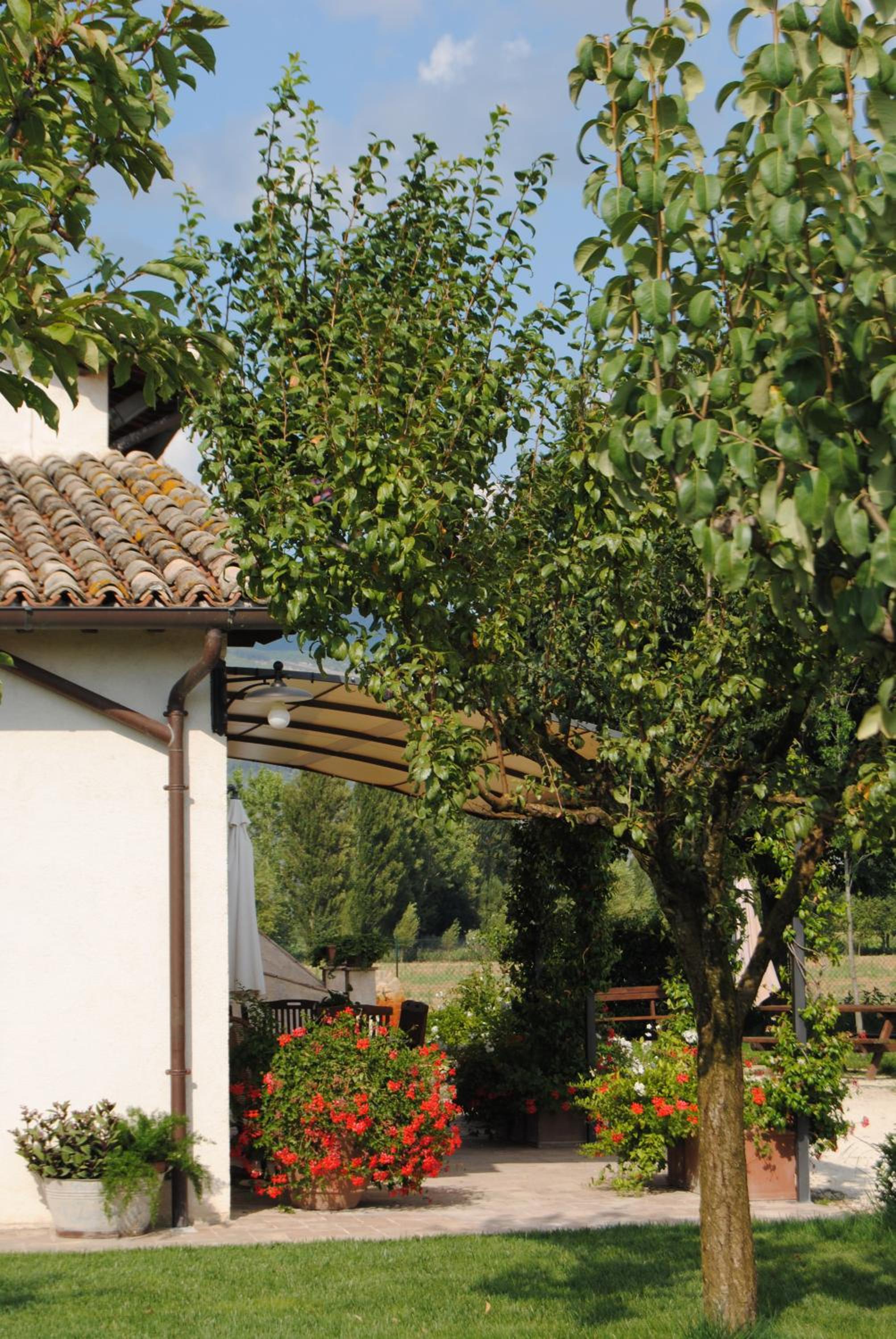 Agriturismo Il Barco