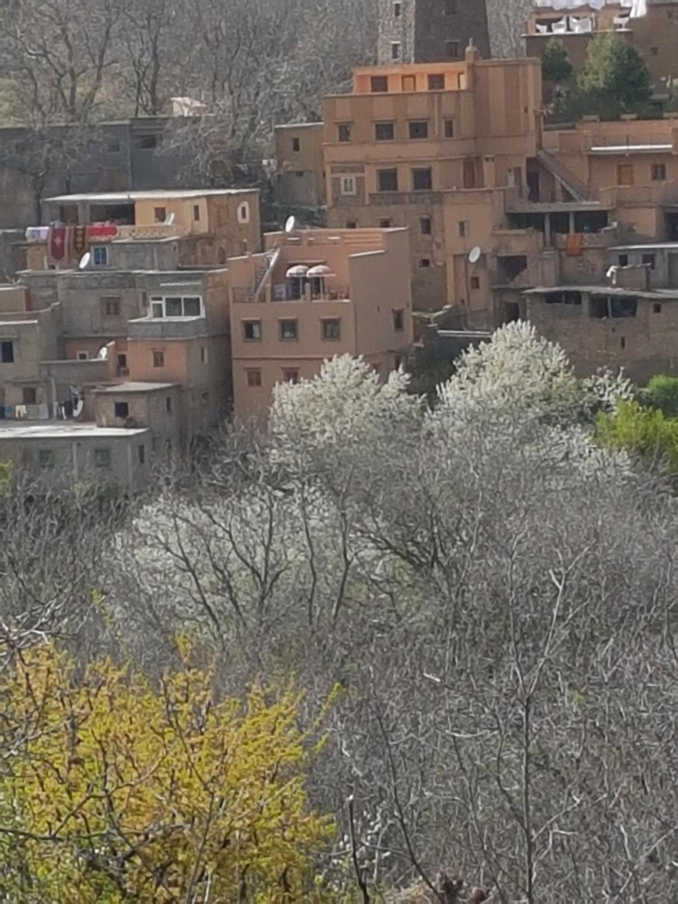 Dar Amadine view 4