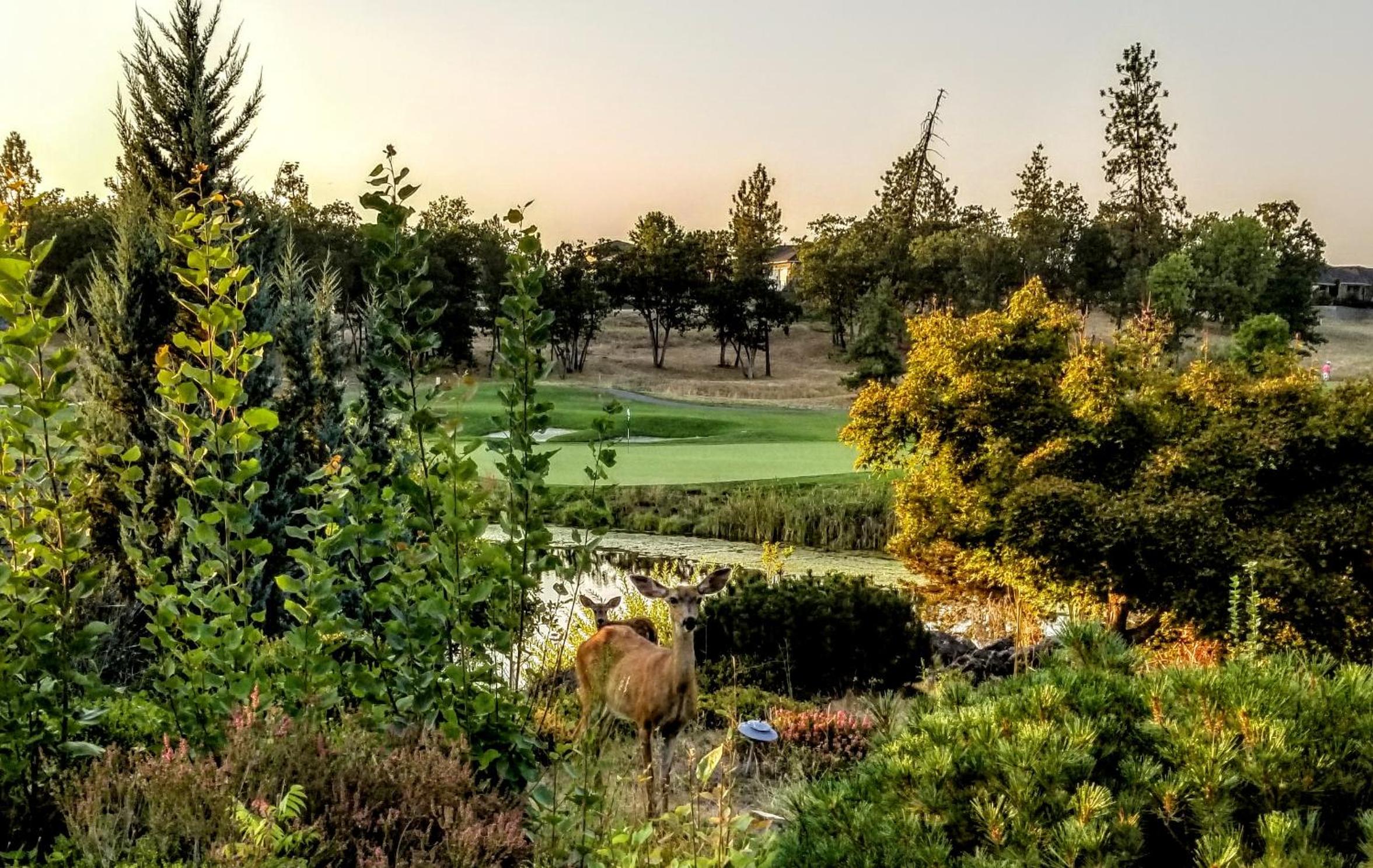 Medford Vacations - Resort at Eagle Point Golf Club Lodging - Property Image 14