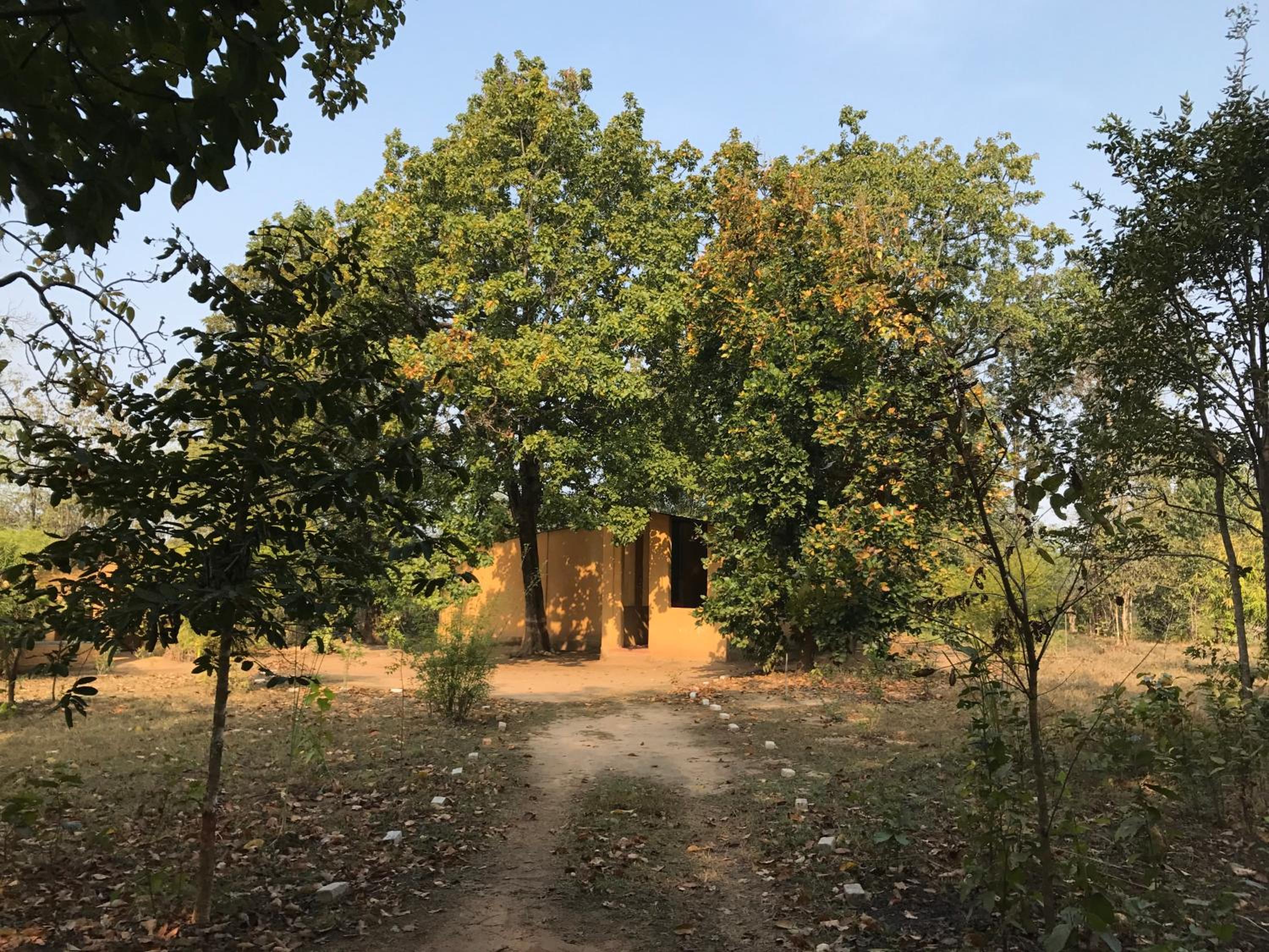 Kamp Kamouflage Kanha view 2