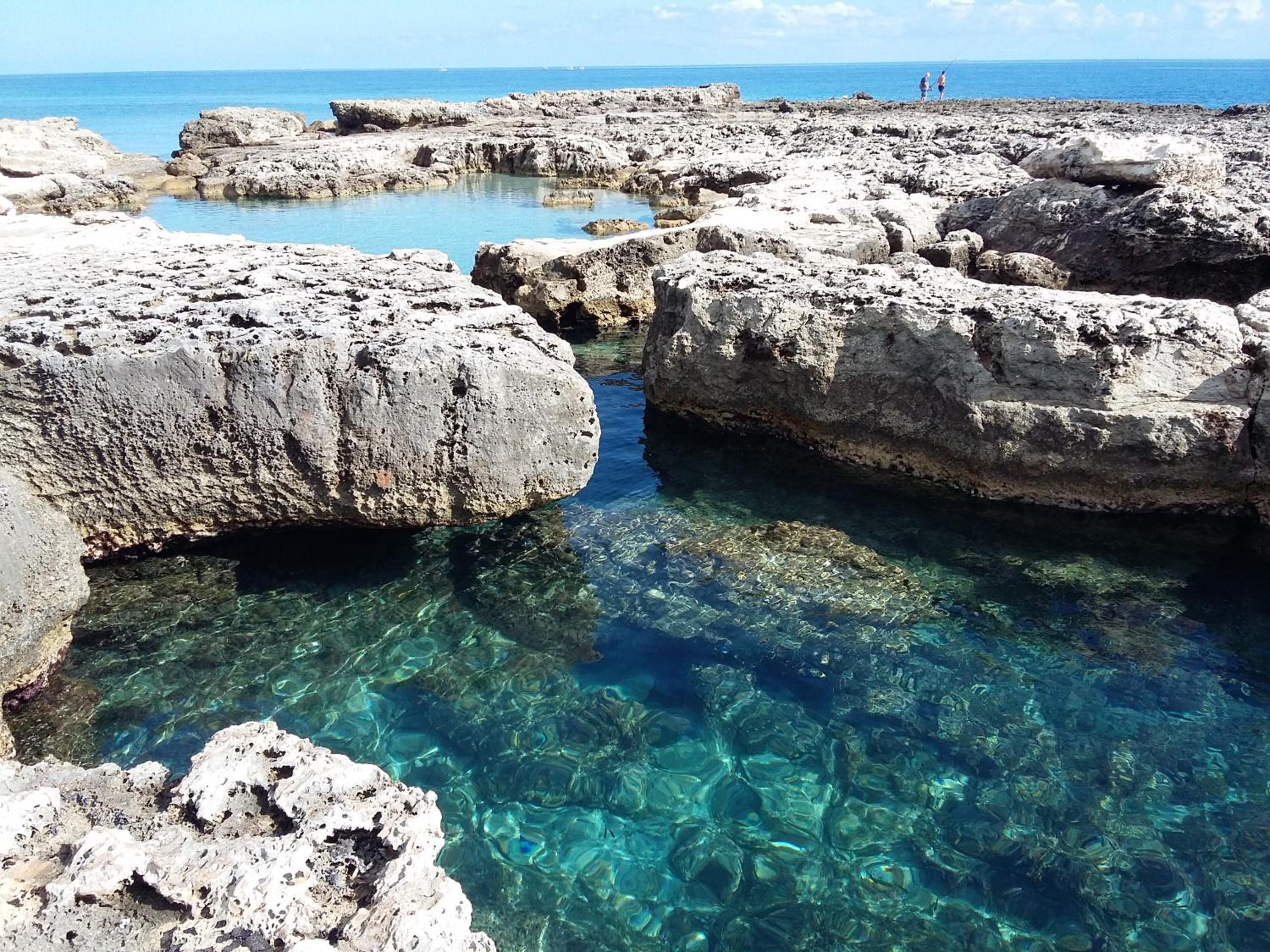 other