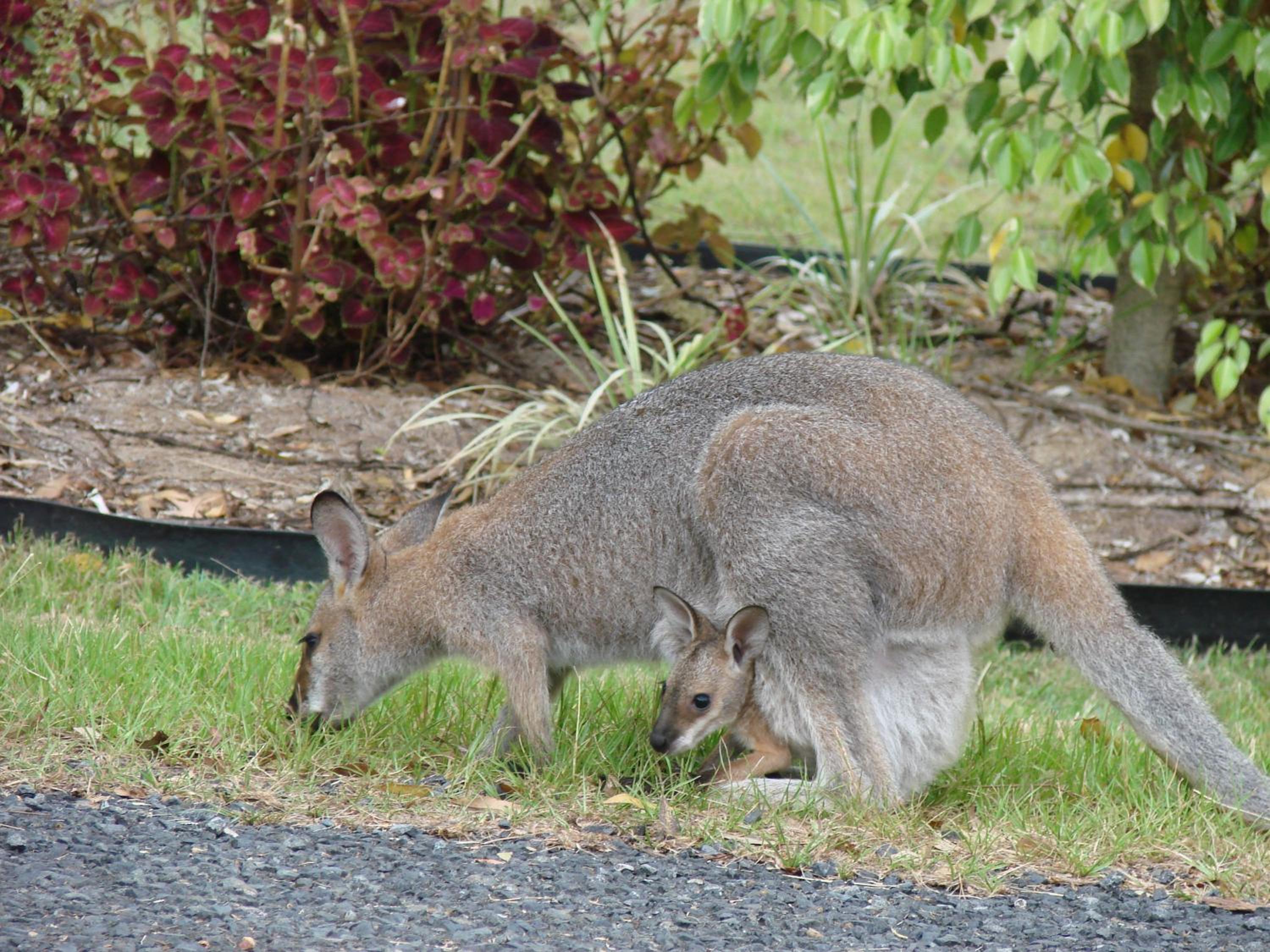 Clarence River Bed & Breakfast