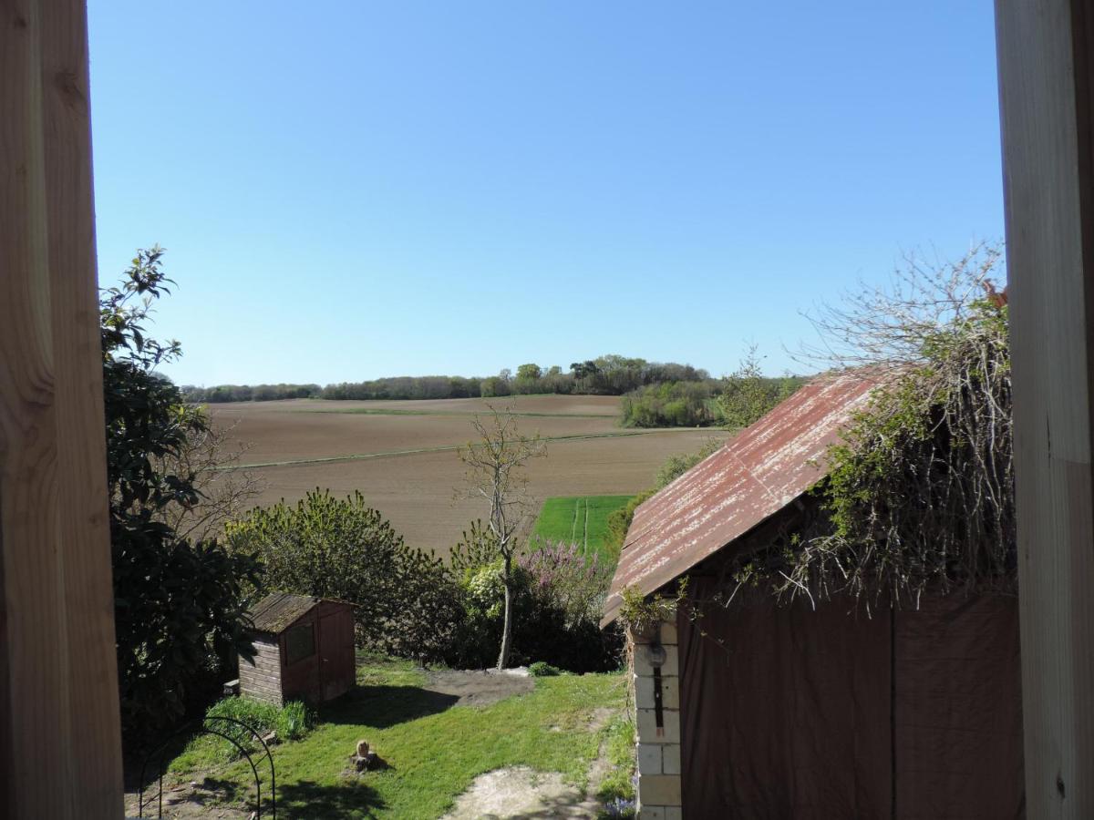 Photo 44