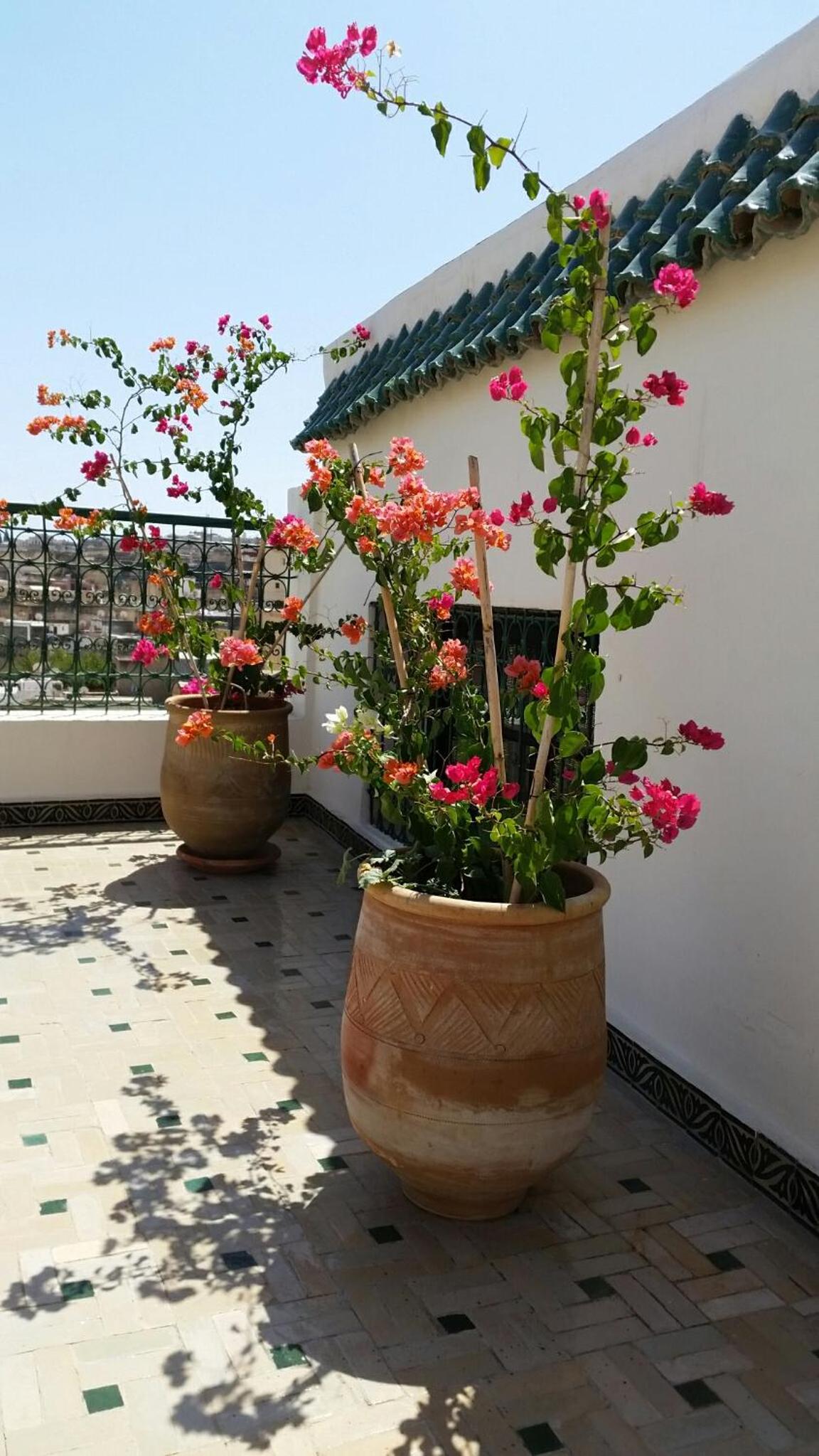 roof