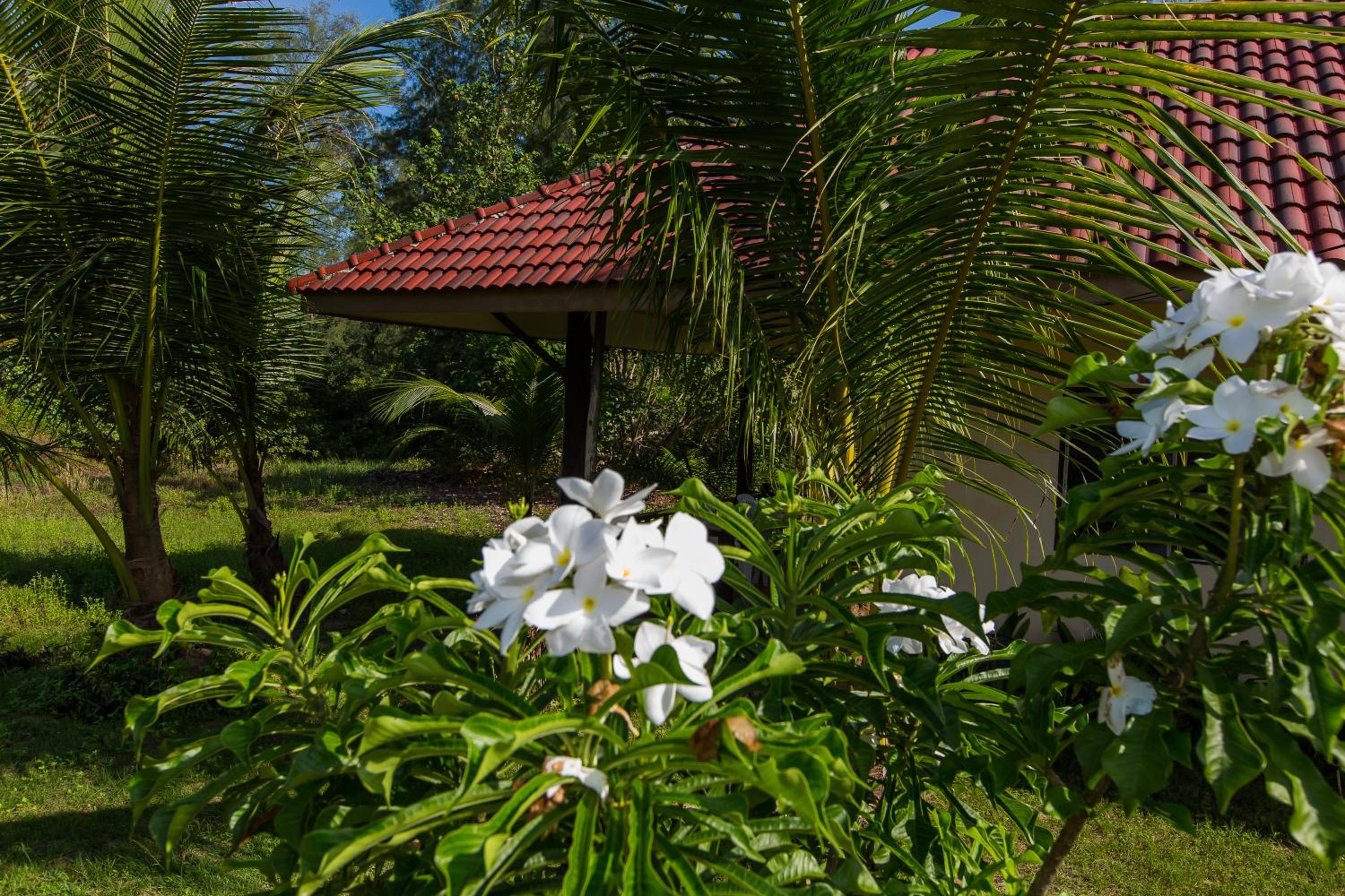 Pranee Beach Bungalows view 4