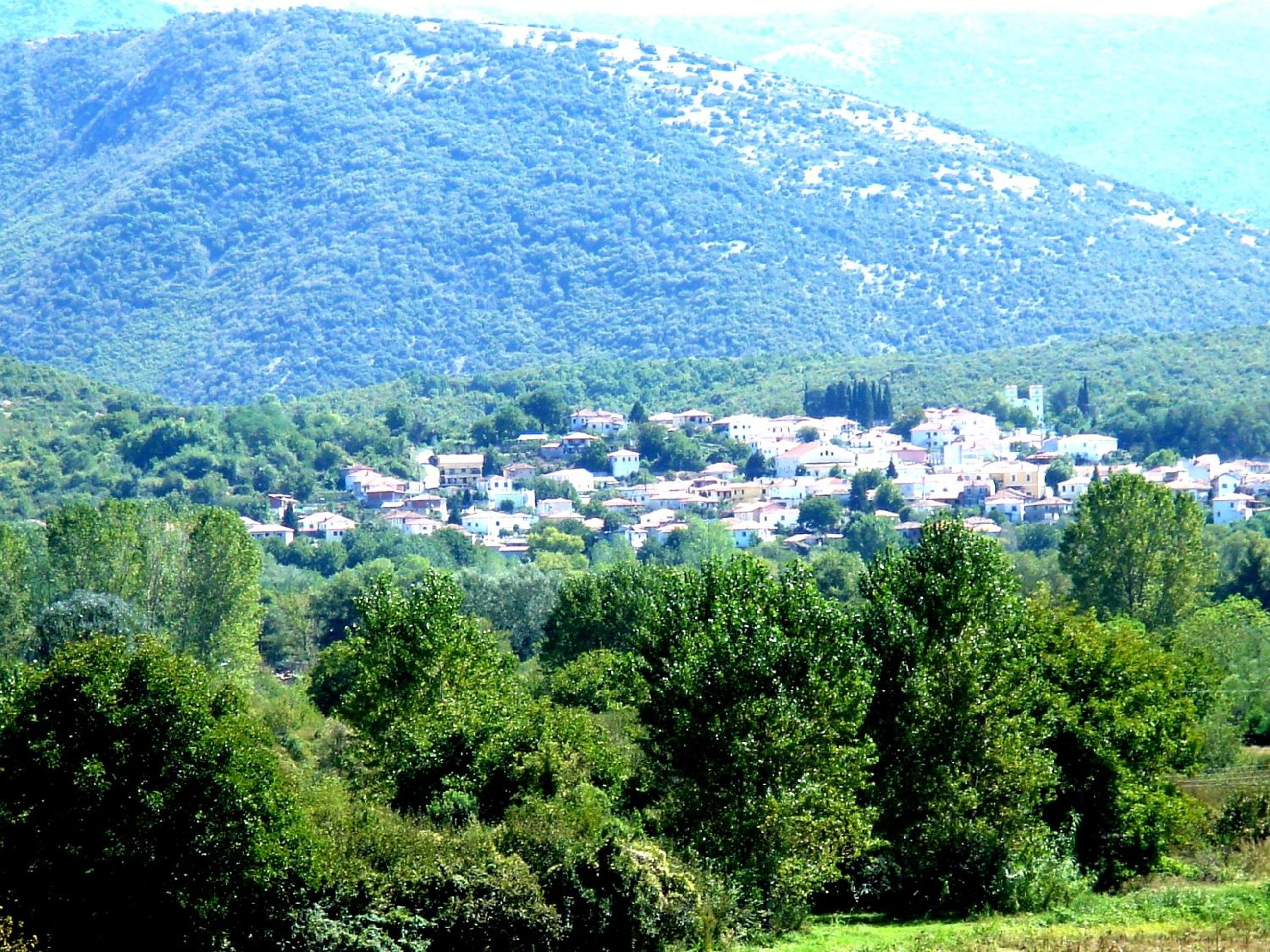 To Archontiko Guesthouse Villa